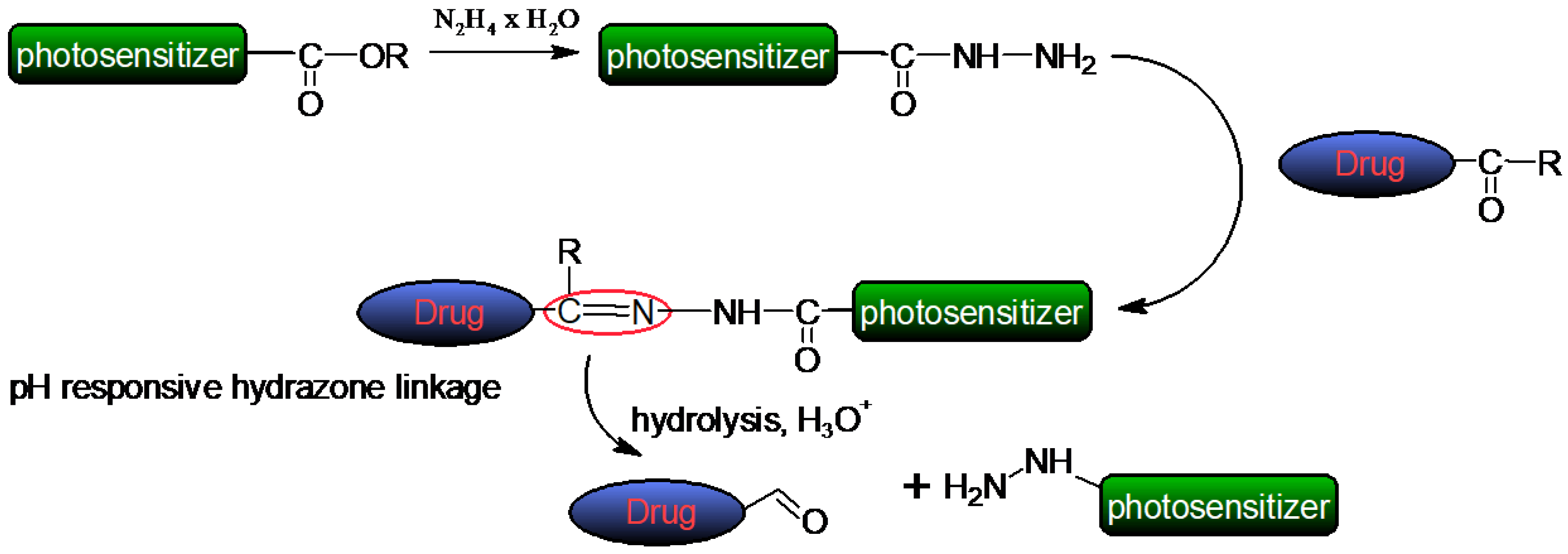 Molecules 30 03297 g003