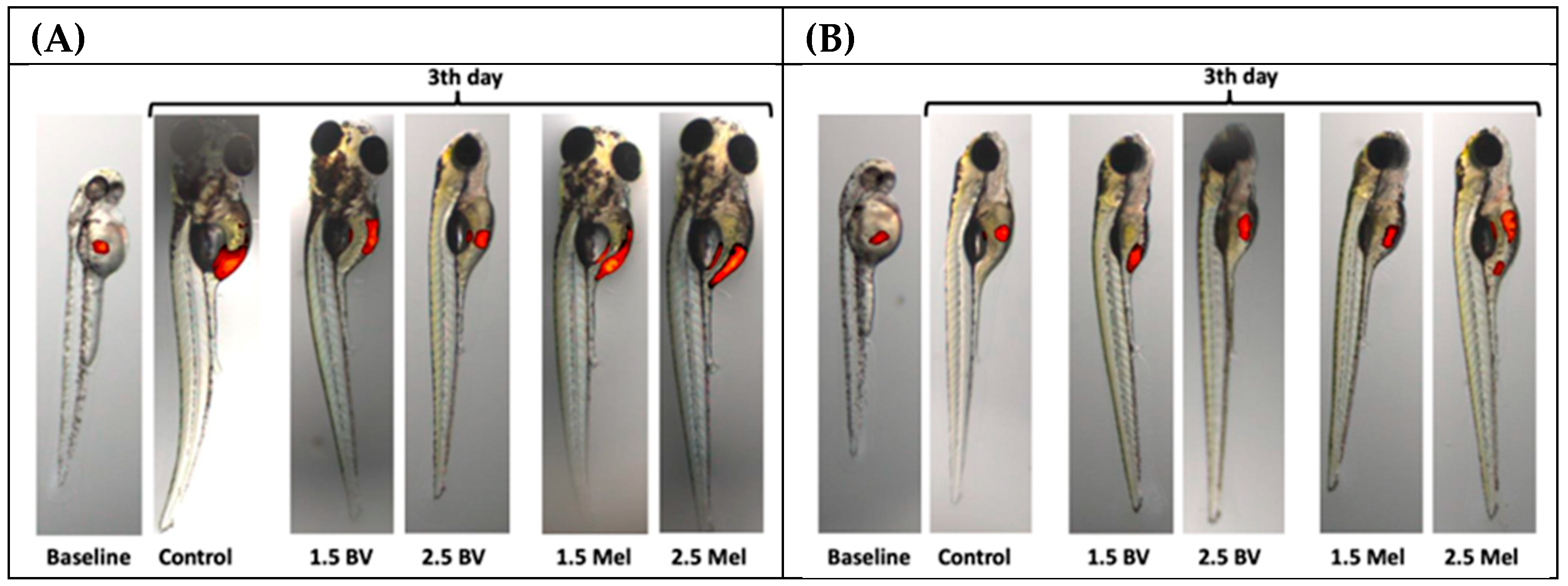 Molecules 30 03306 g003 Molecules 30 03306 g003