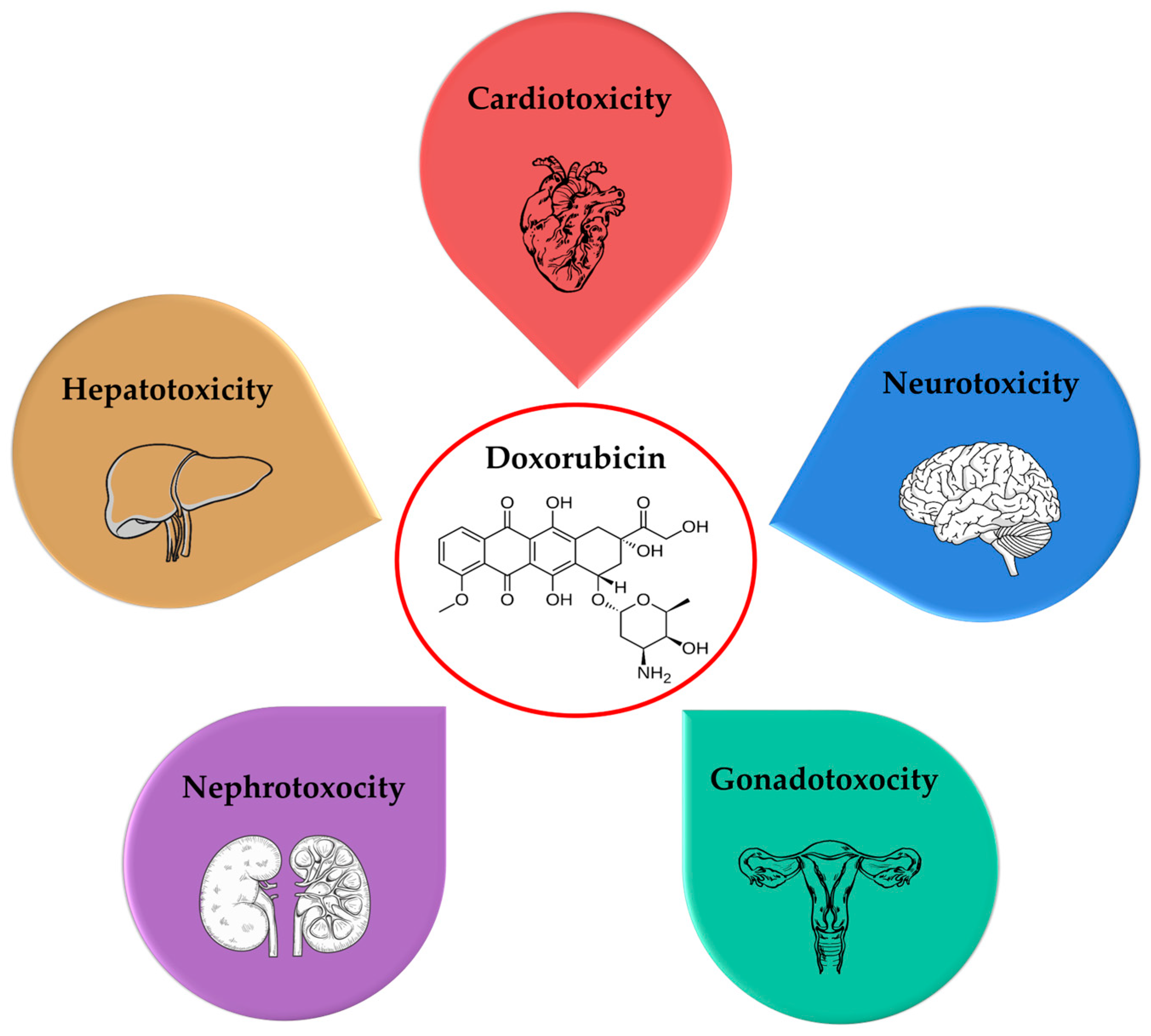 Molecules 30 03311 g001 Molecules 30 03311 g001