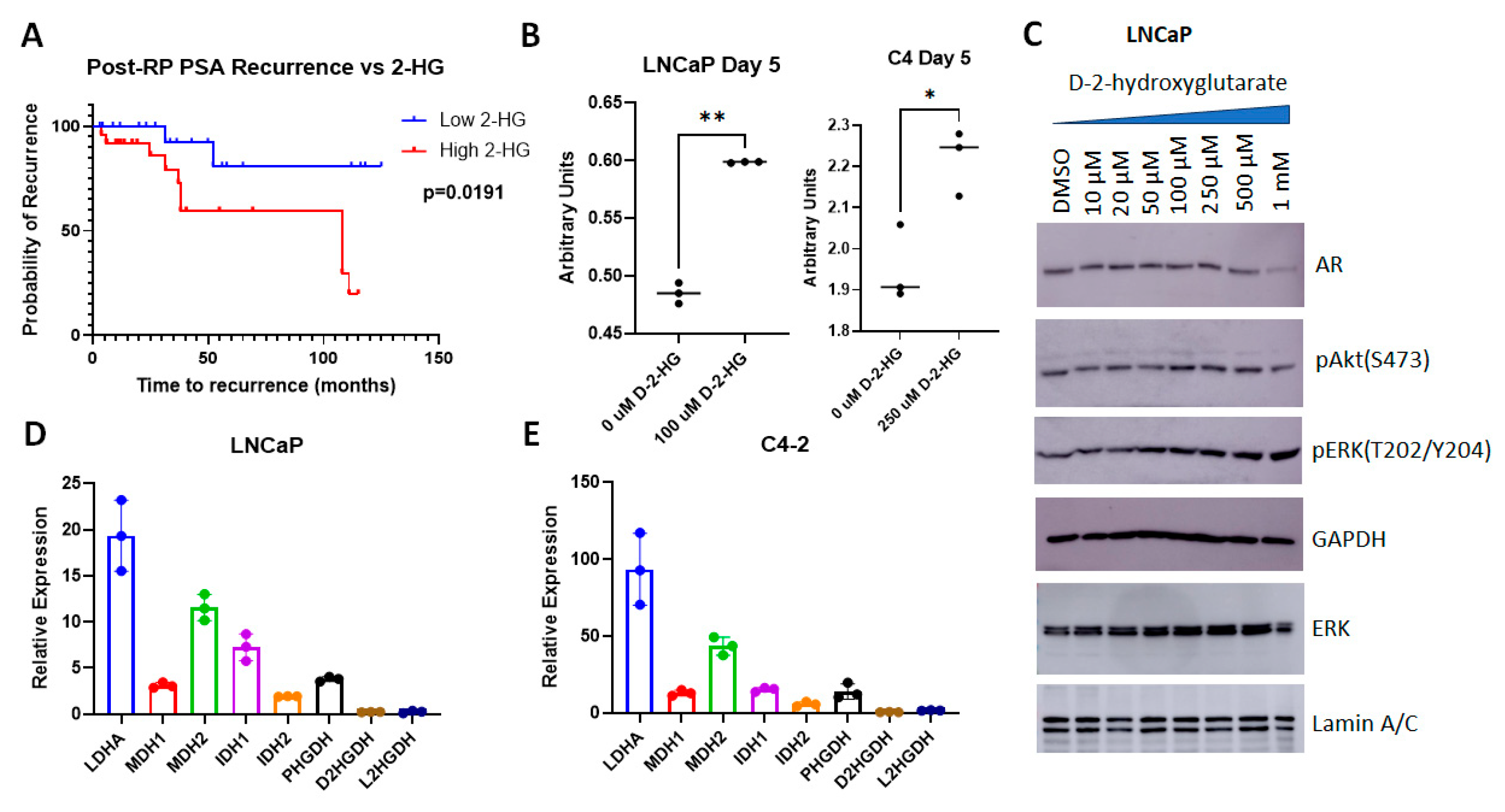 Molecules 30 03316 g010