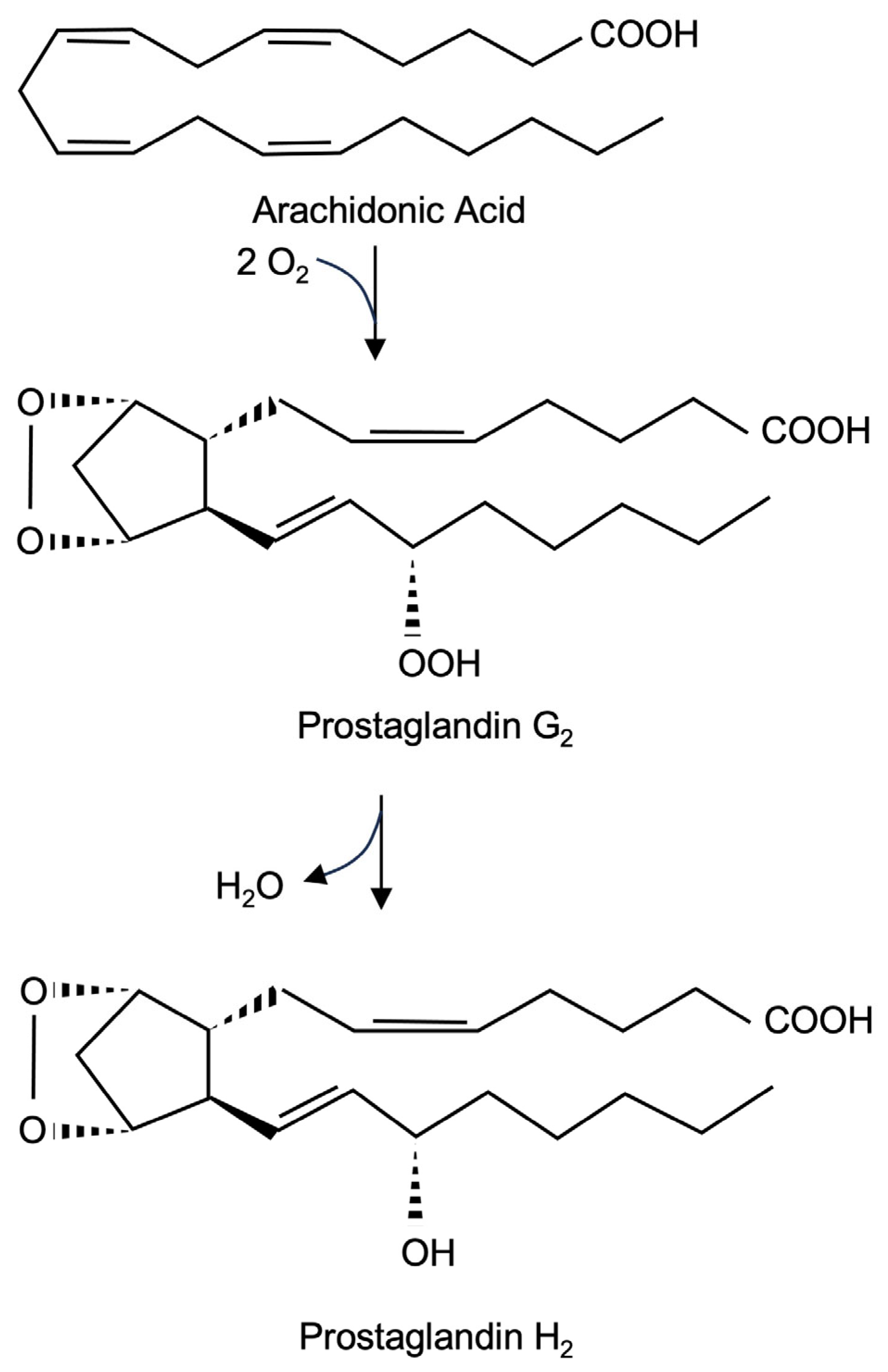 Molecules 30 03320 g001