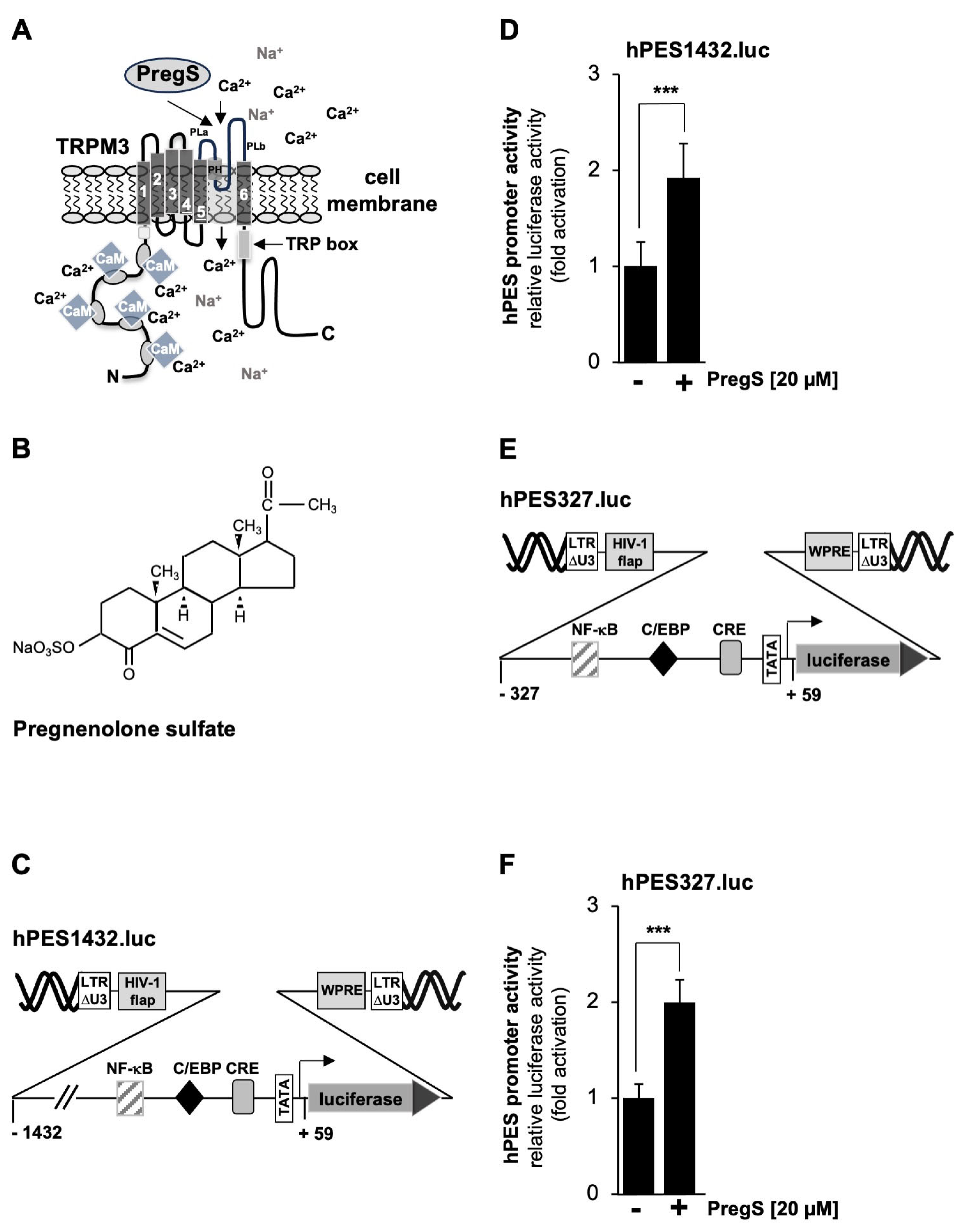 Molecules 30 03320 g002