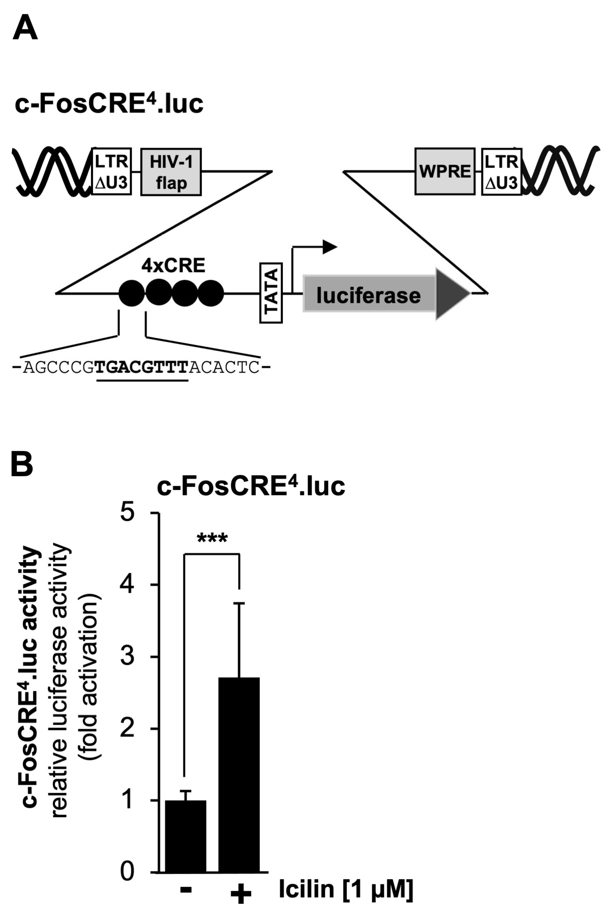 Molecules 30 03320 g007
