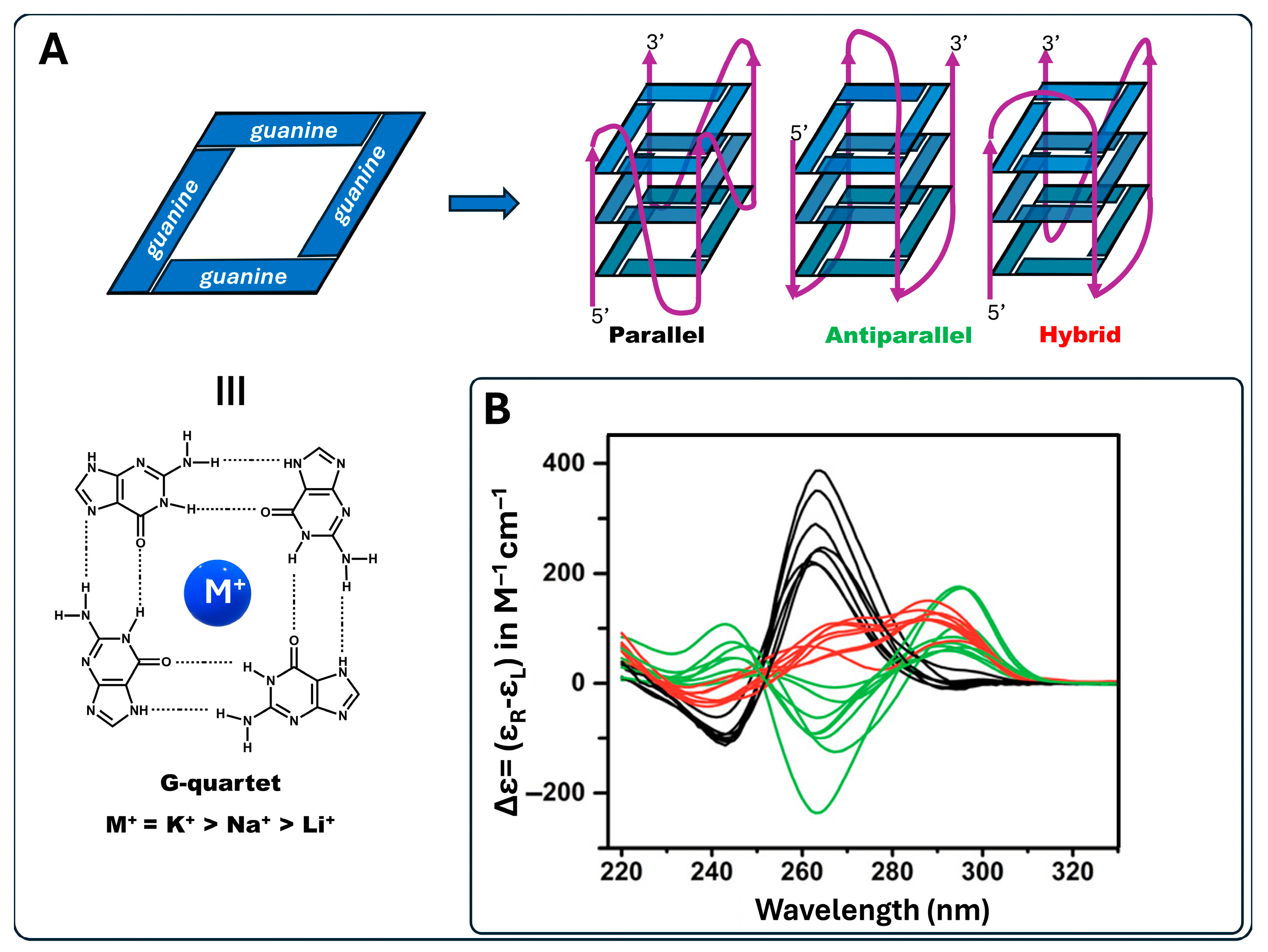 Molecules 30 03322 g001 Molecules 30 03322 g001