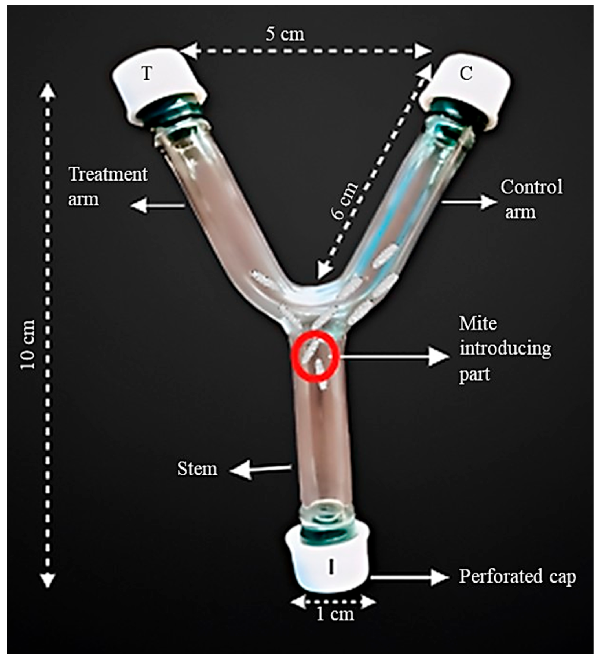 Molecules 30 03326 g004 Molecules 30 03326 g004