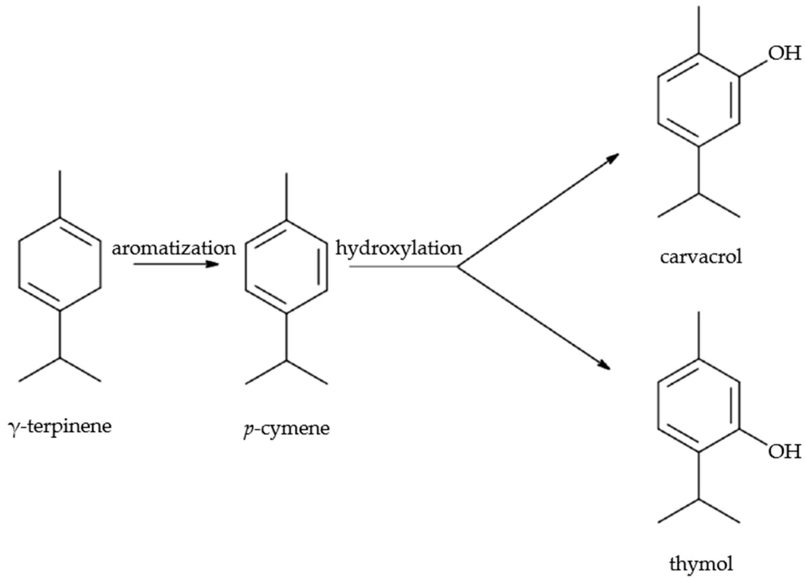 Molecules 30 03329 g001 Molecules 30 03329 g001
