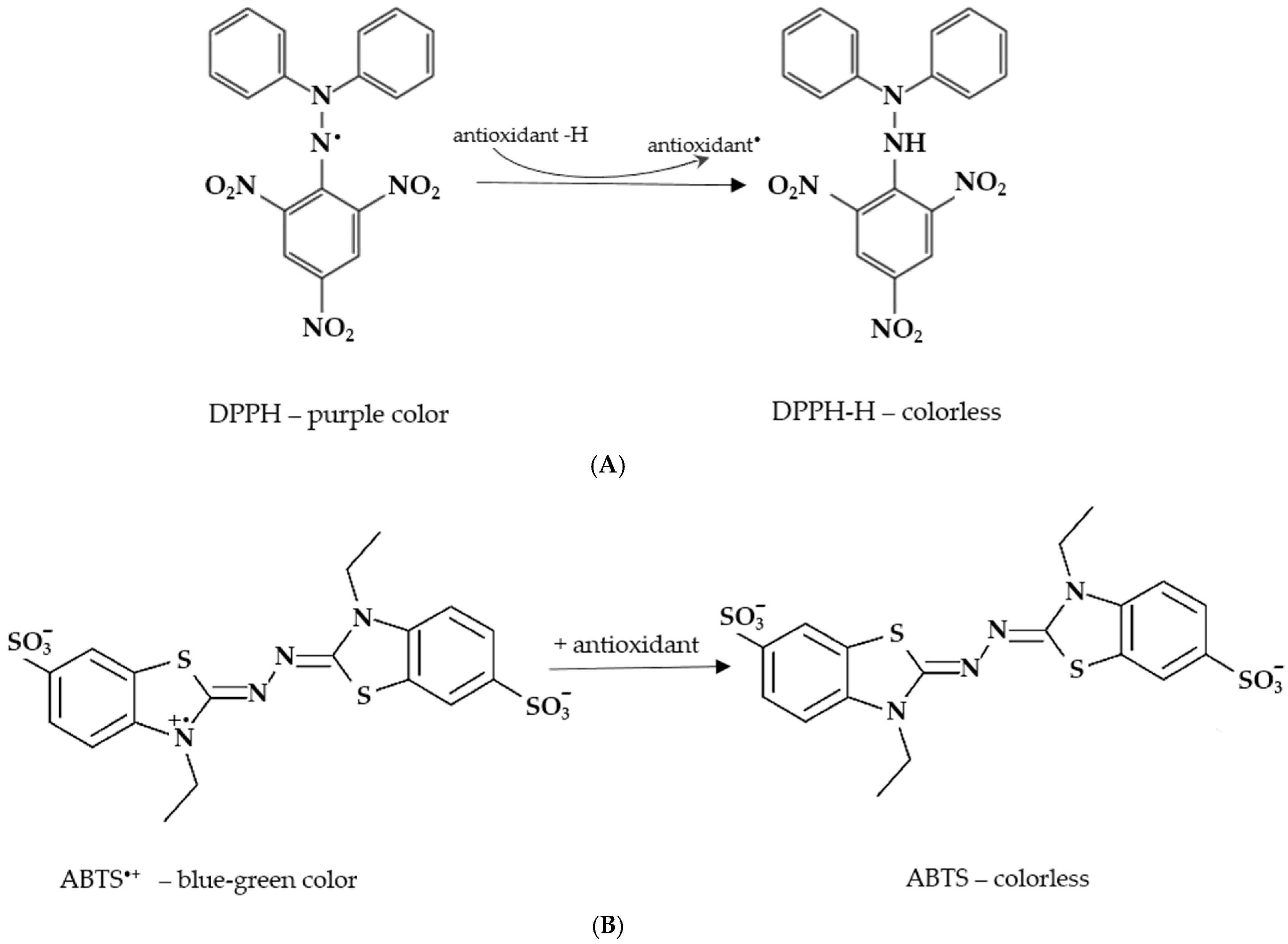 Molecules 30 03329 g002 Molecules 30 03329 g002