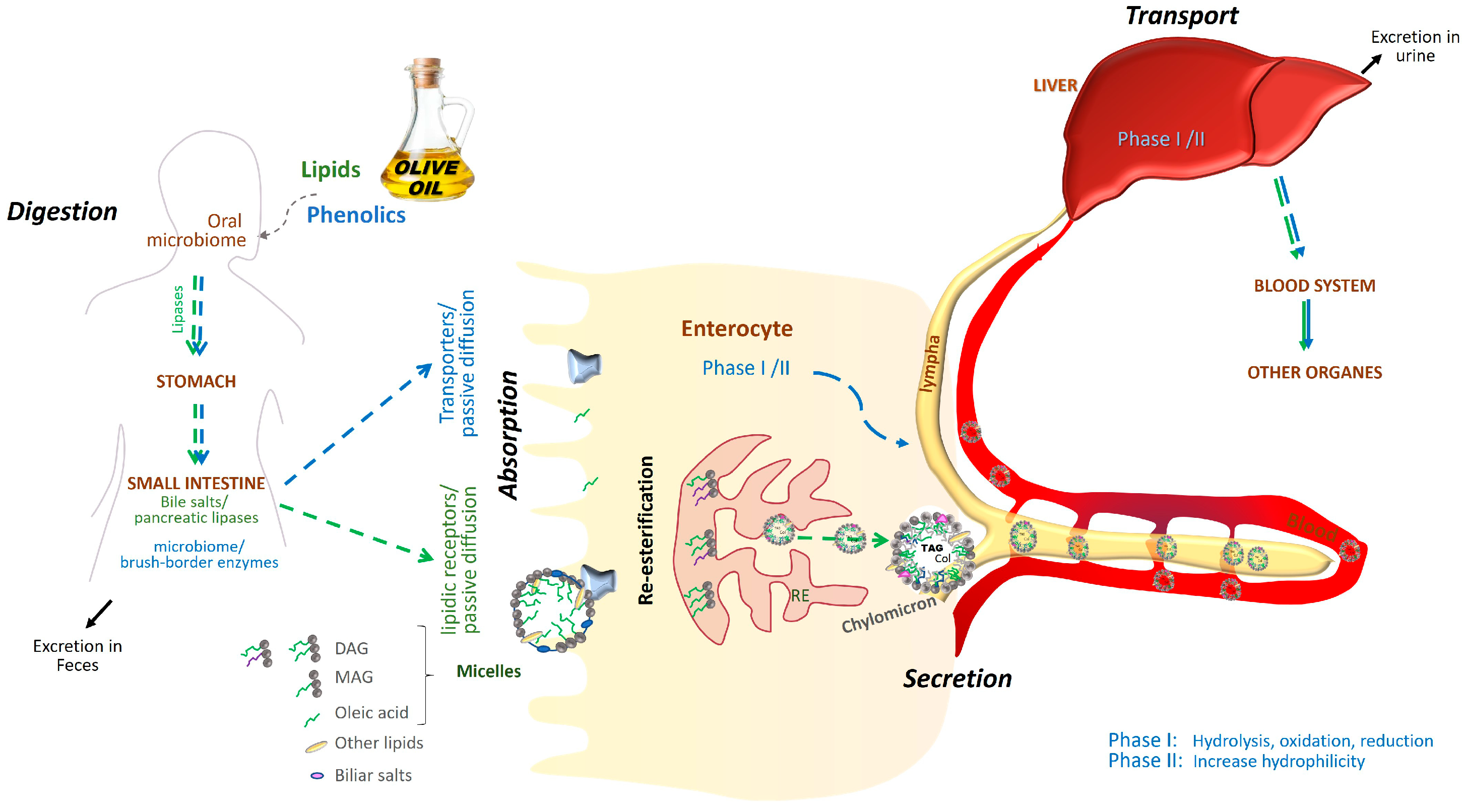 Molecules 30 03336 g001 Molecules 30 03336 g001