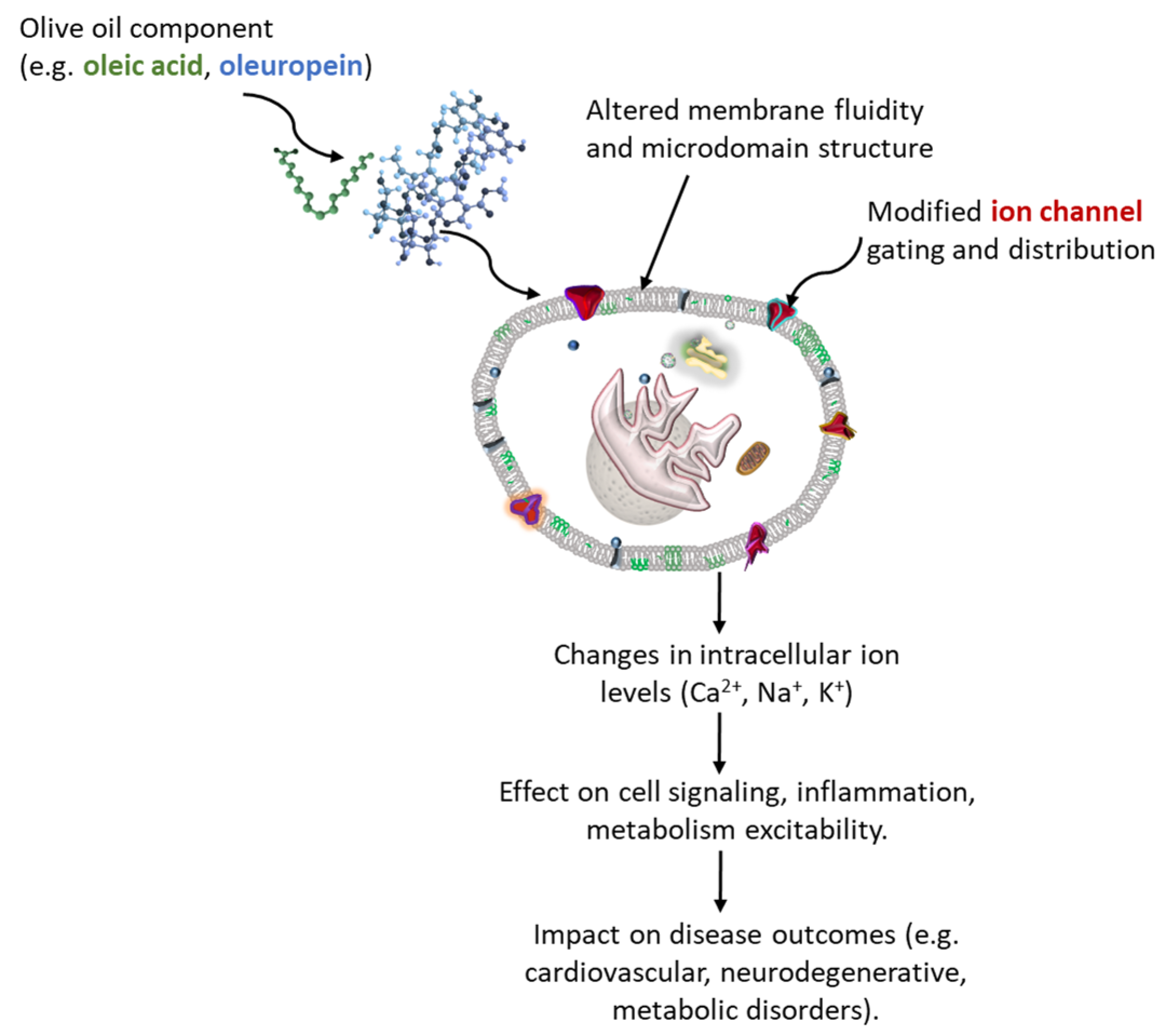 Molecules 30 03336 g002 Molecules 30 03336 g002