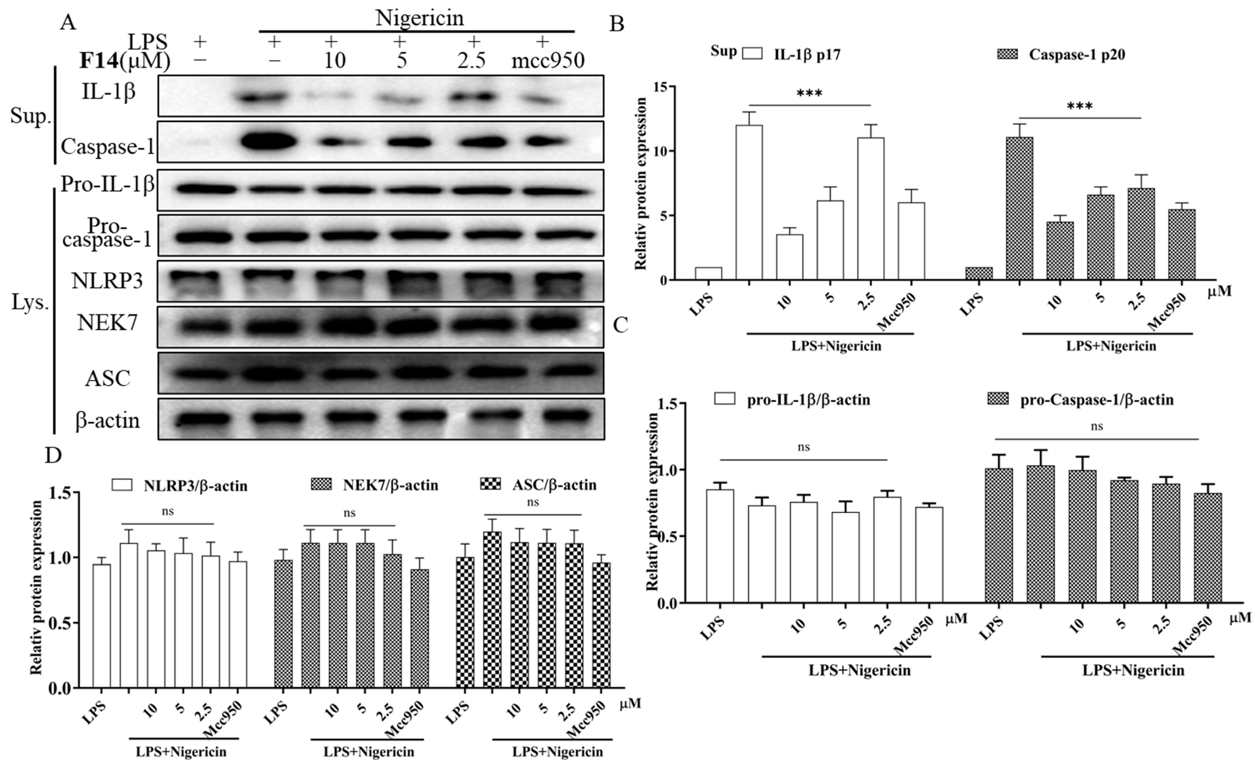 Molecules 30 03340 g006 Molecules 30 03340 g006