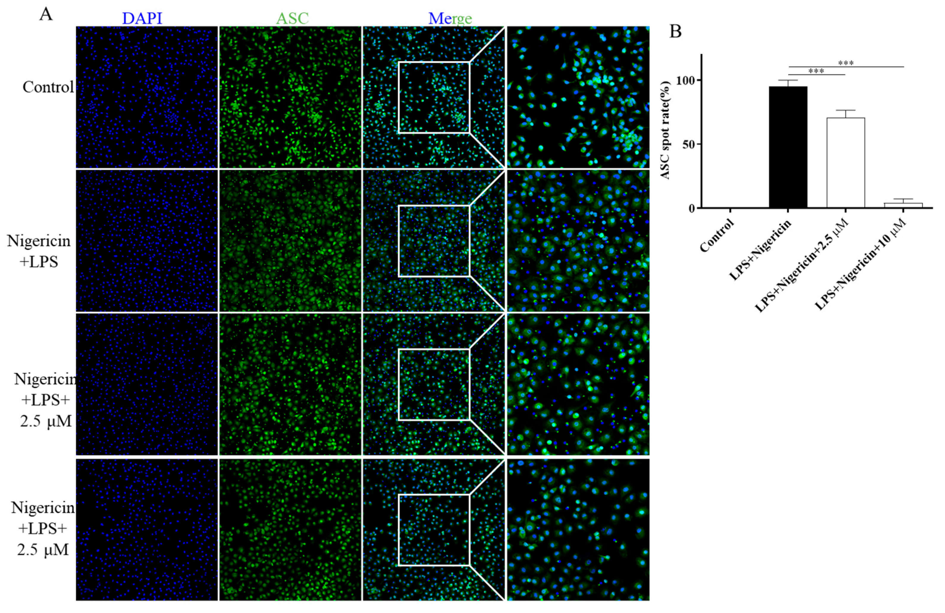 Molecules 30 03340 g008 Molecules 30 03340 g008