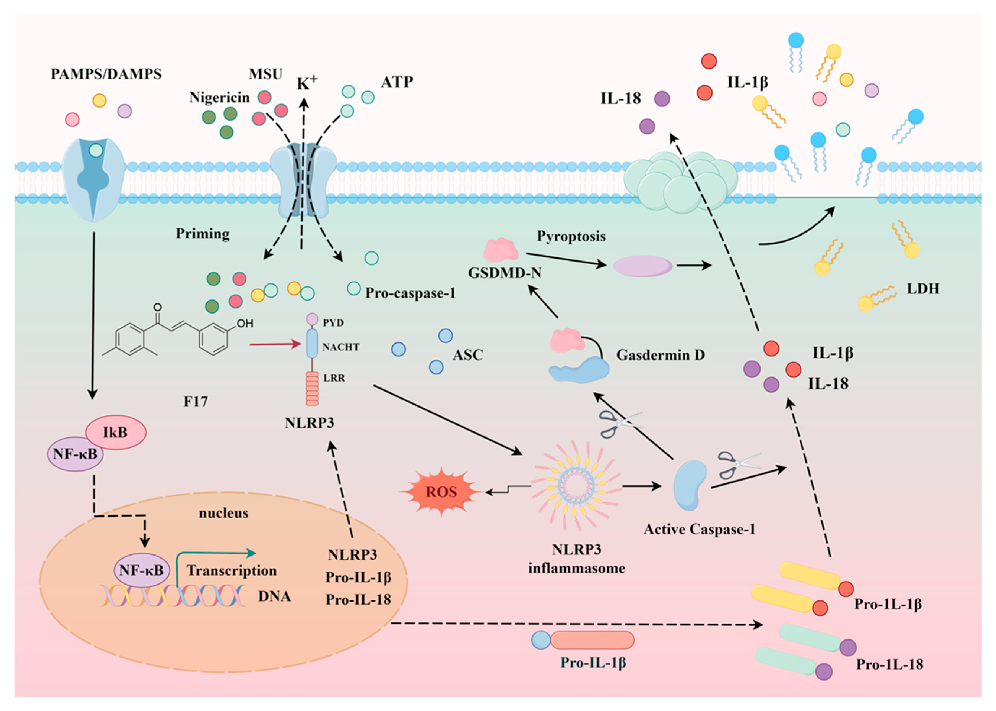 Molecules 30 03340 g011 Molecules 30 03340 g011