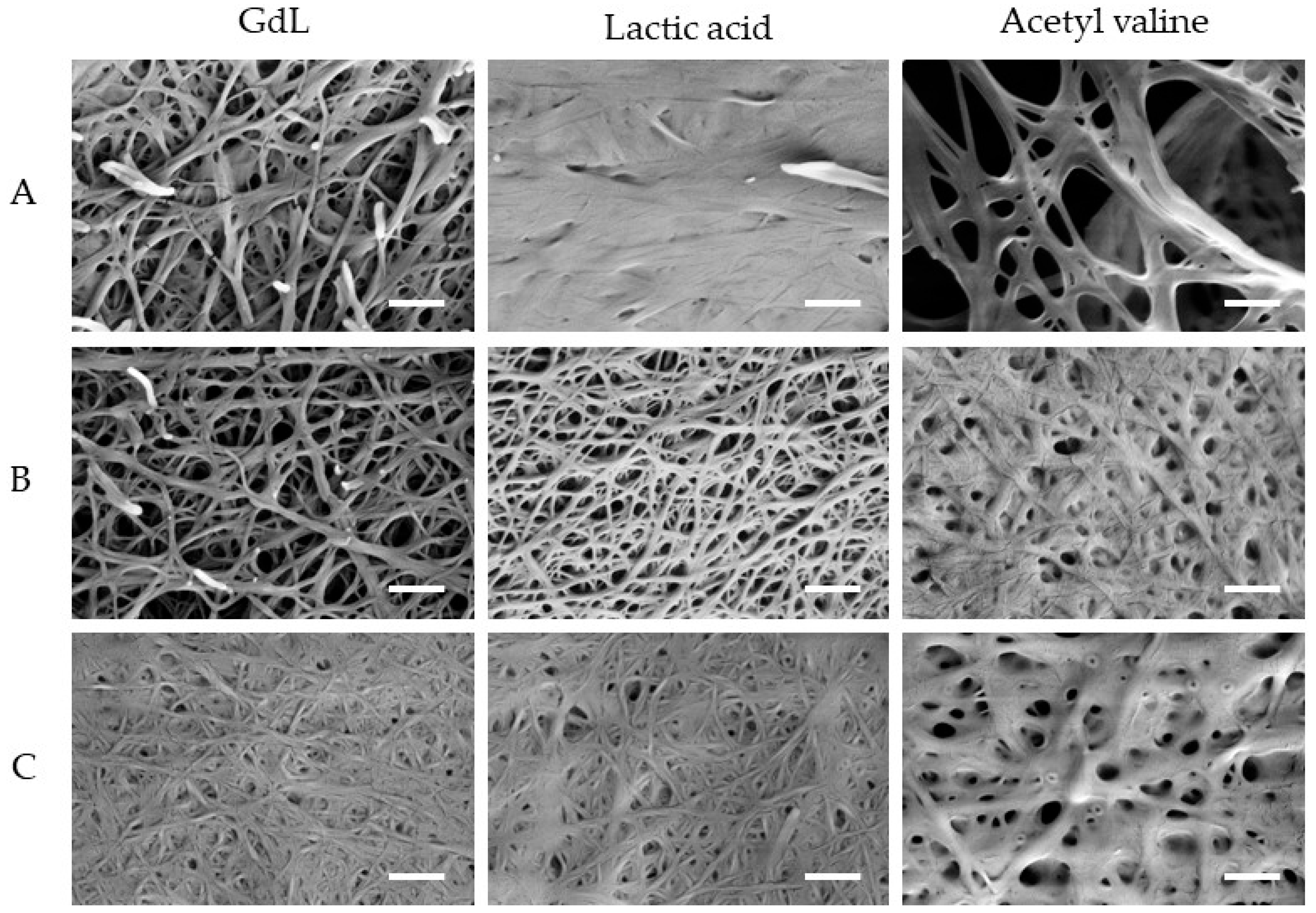 Molecules 30 03345 g003
