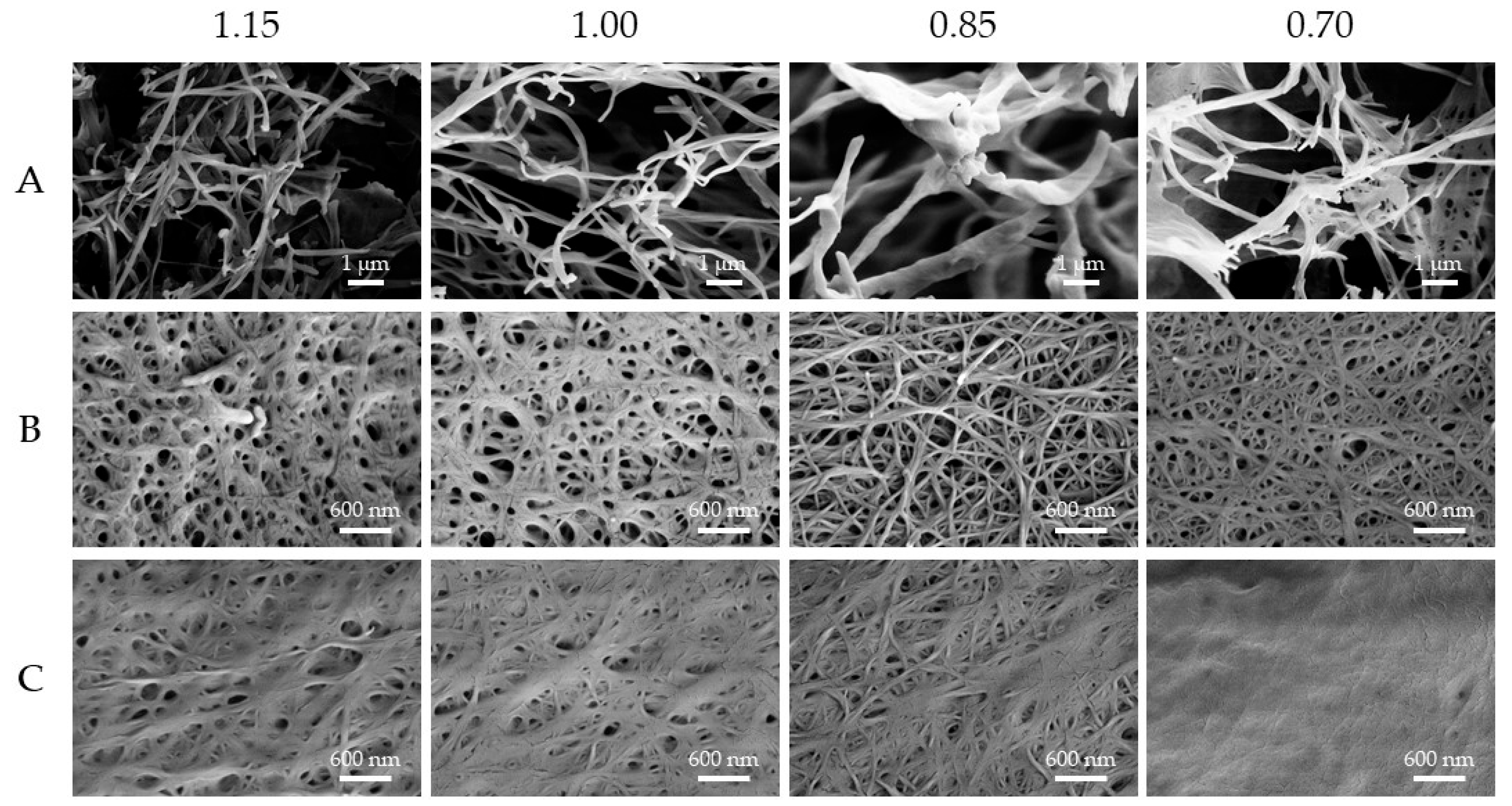 Molecules 30 03345 g005