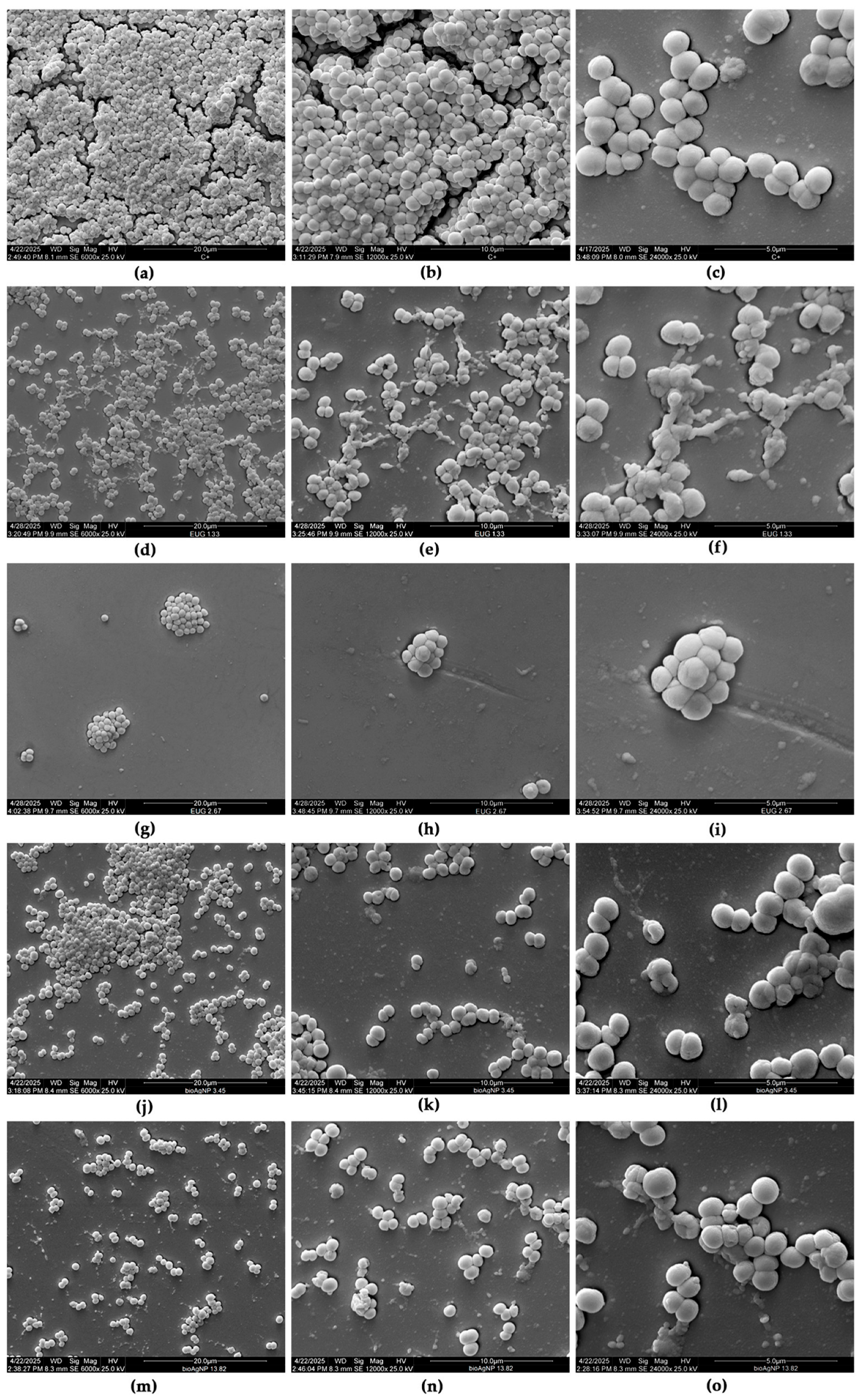 Molecules 30 03353 g006