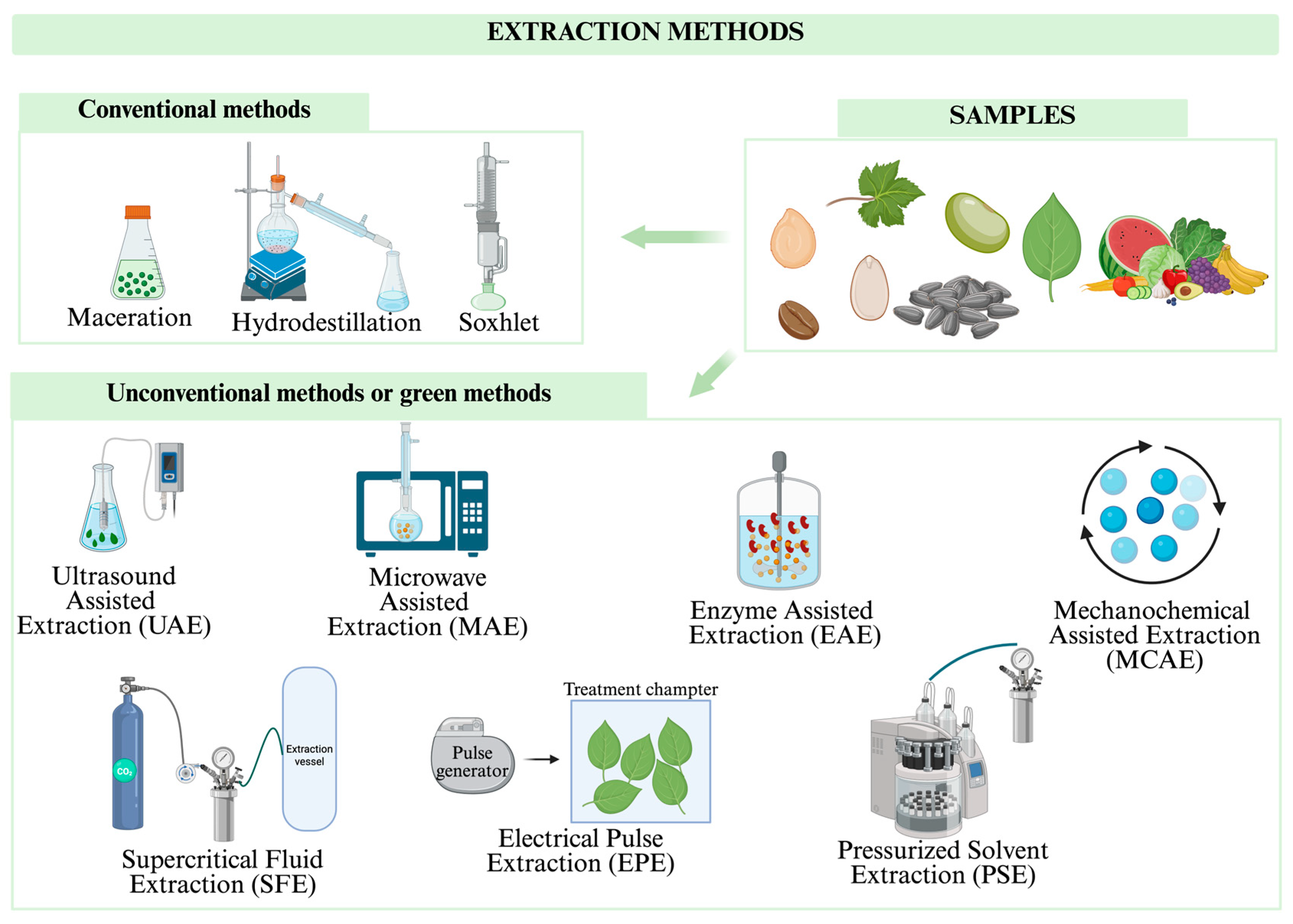 Molecules 30 03357 g002
