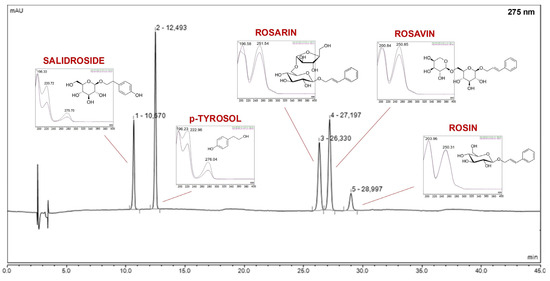 Cyclodextrin/PVP-Based Nanofibers with Rhadiola rosea