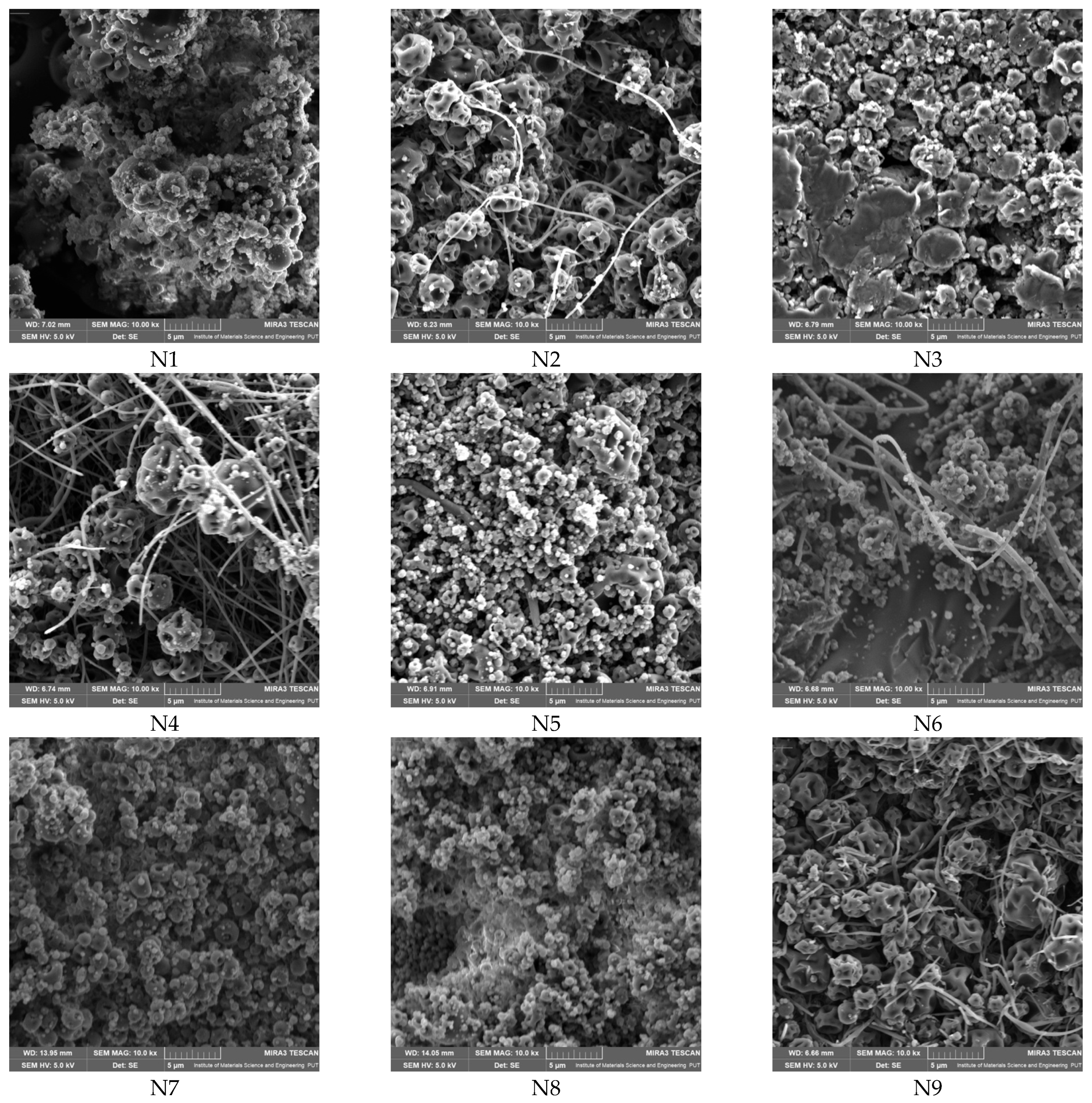 Molecules 30 03359 g007