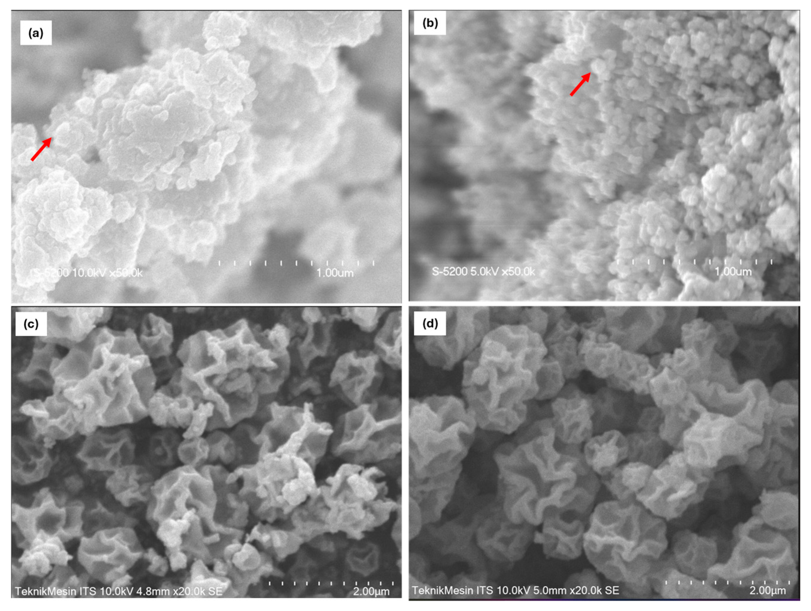 Molecules 30 03364 g002 Molecules 30 03364 g002