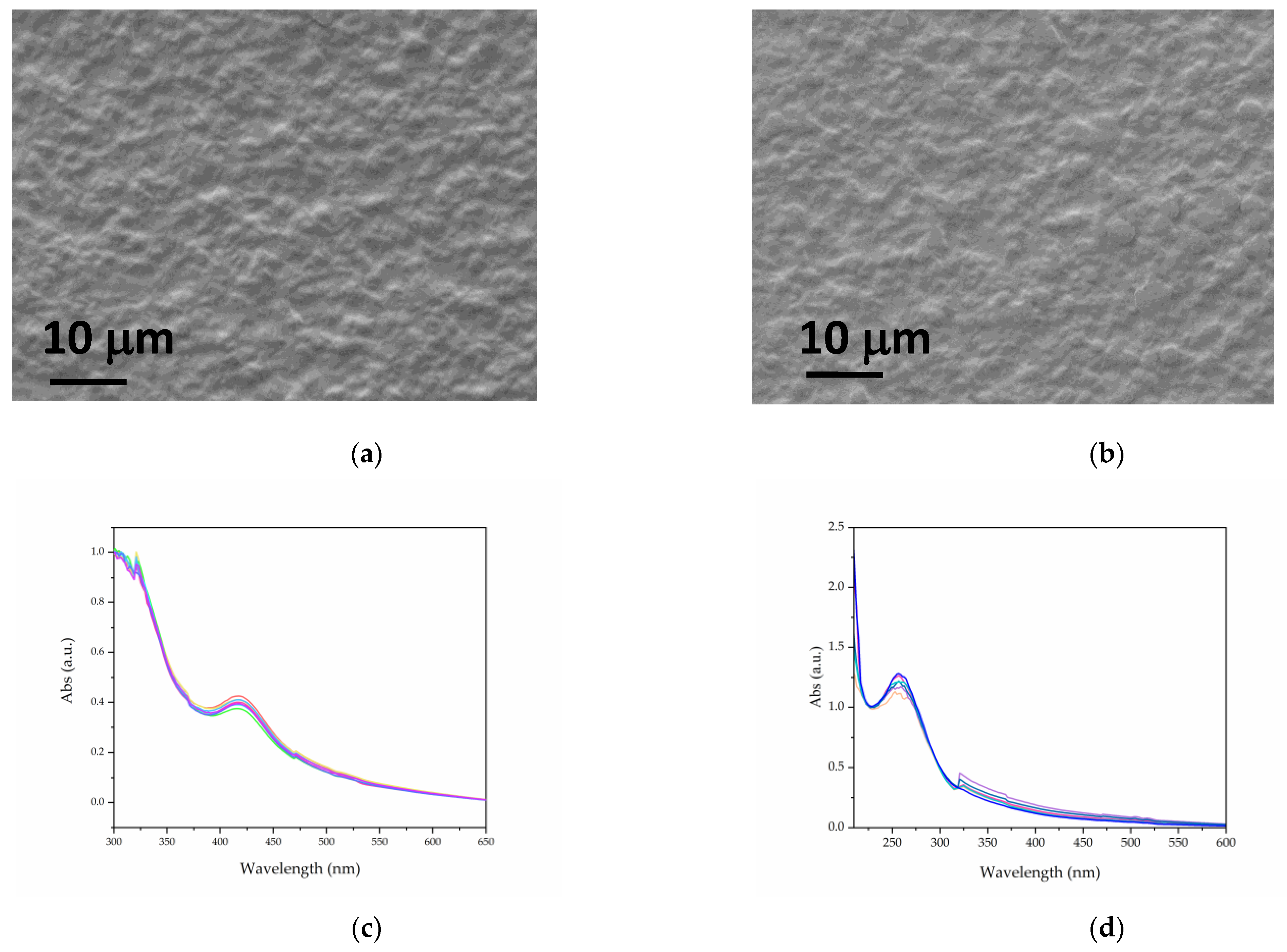 Molecules 30 03368 g004 Molecules 30 03368 g004