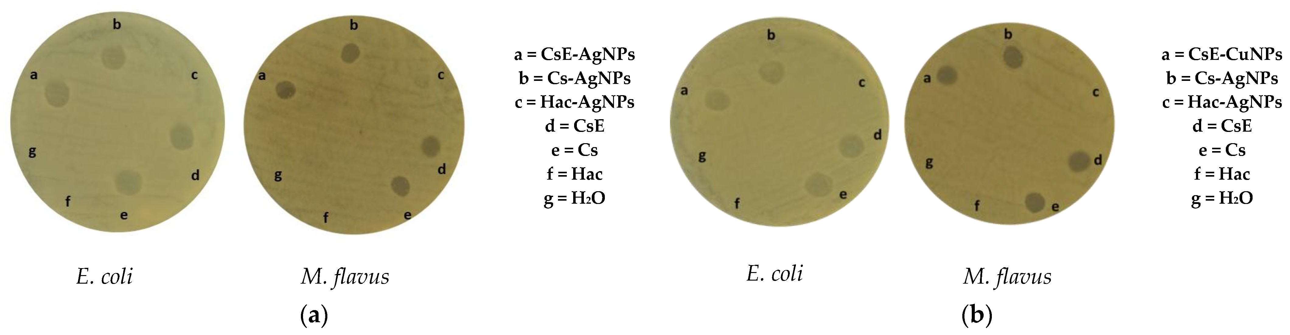 Molecules 30 03368 g005 Molecules 30 03368 g005