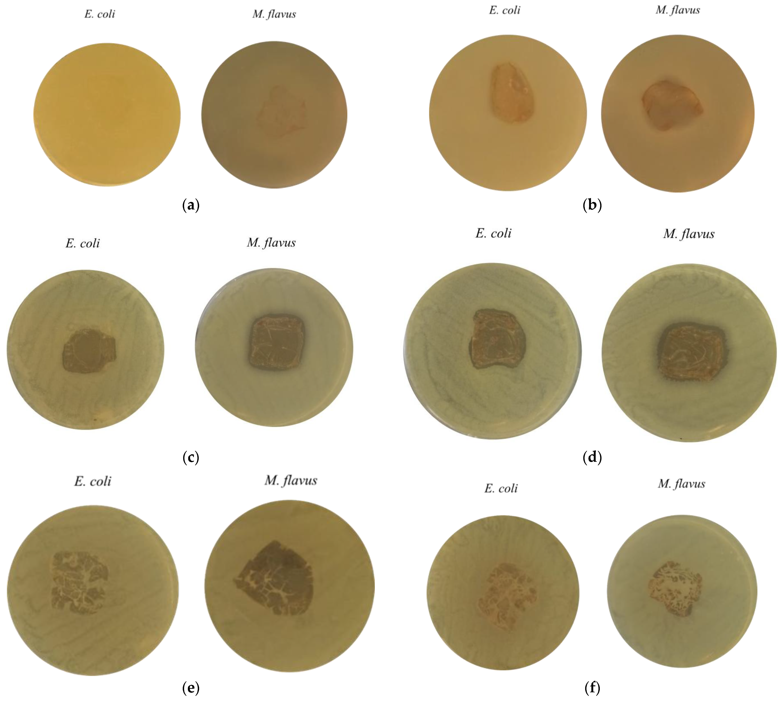Molecules 30 03368 g009 Molecules 30 03368 g009