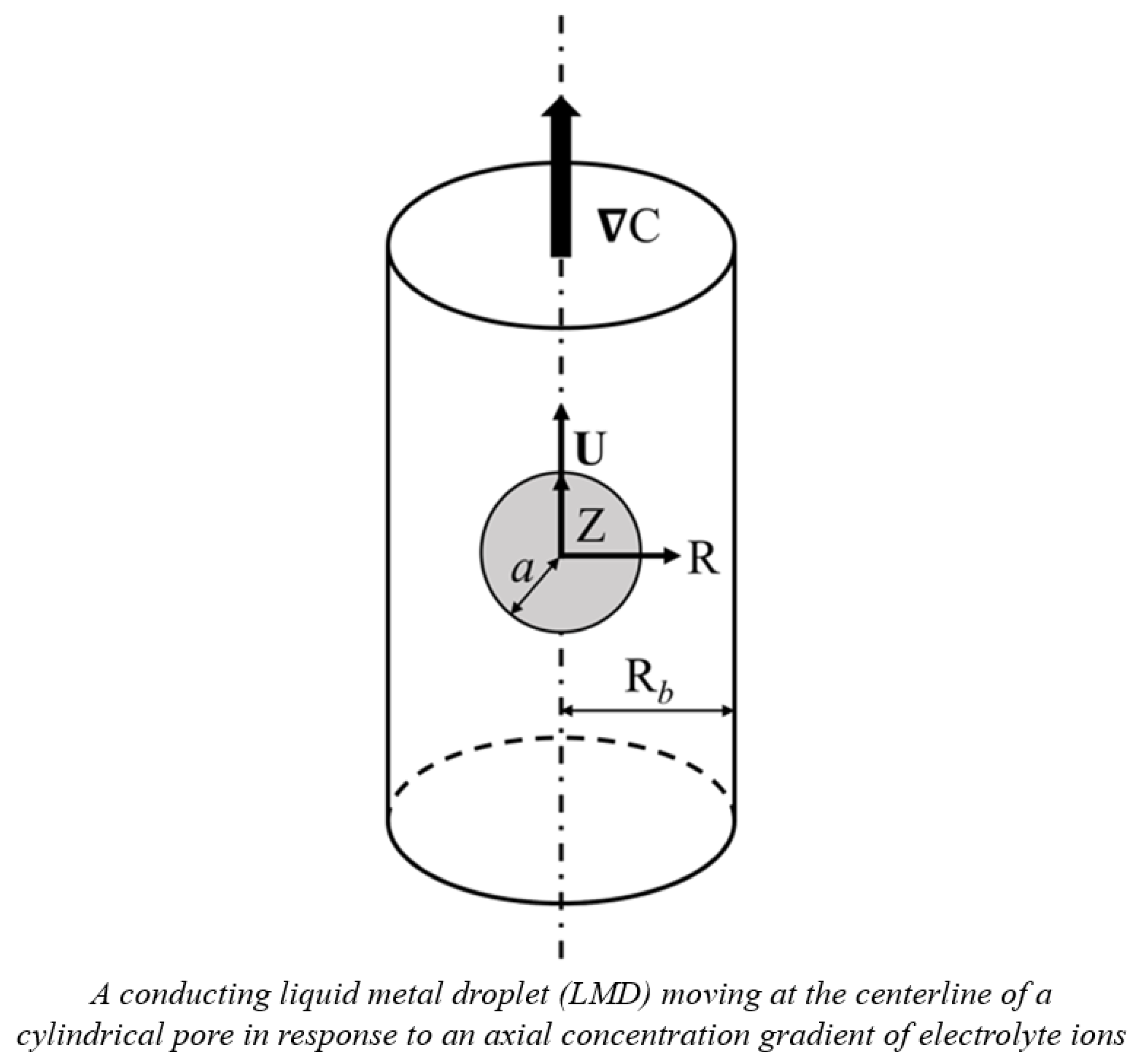 Molecules 30 03372 g006