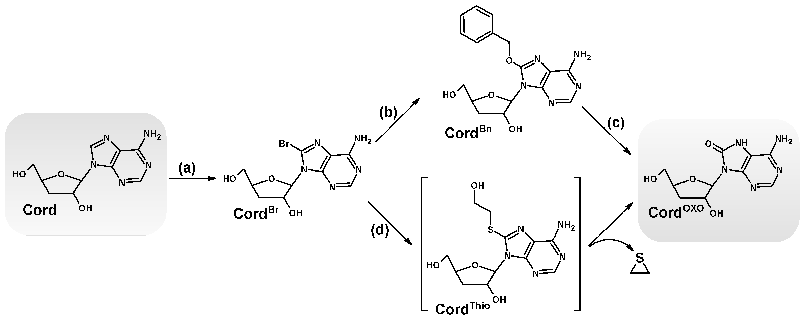 Molecules 30 03377 g002 Molecules 30 03377 g002