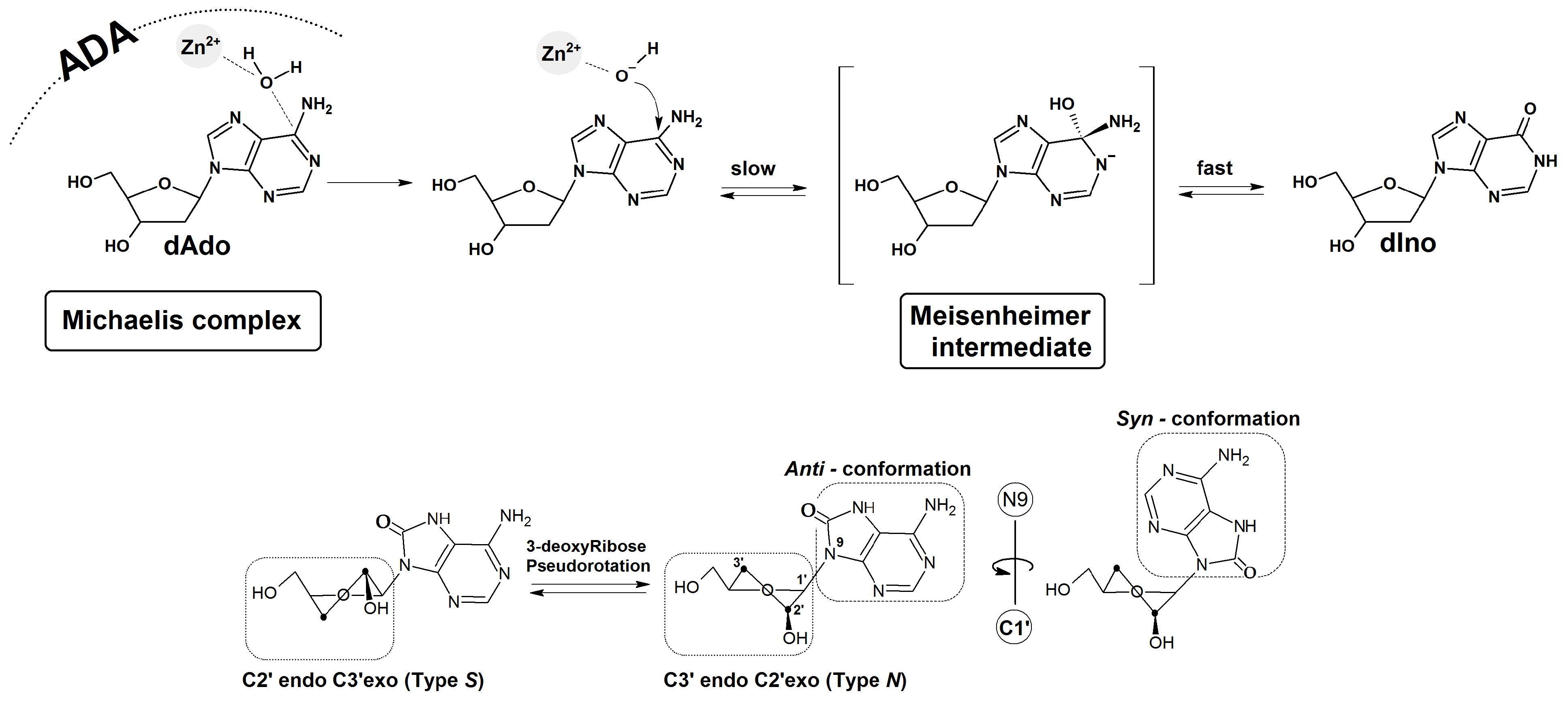 Molecules 30 03377 g006a Molecules 30 03377 g006a