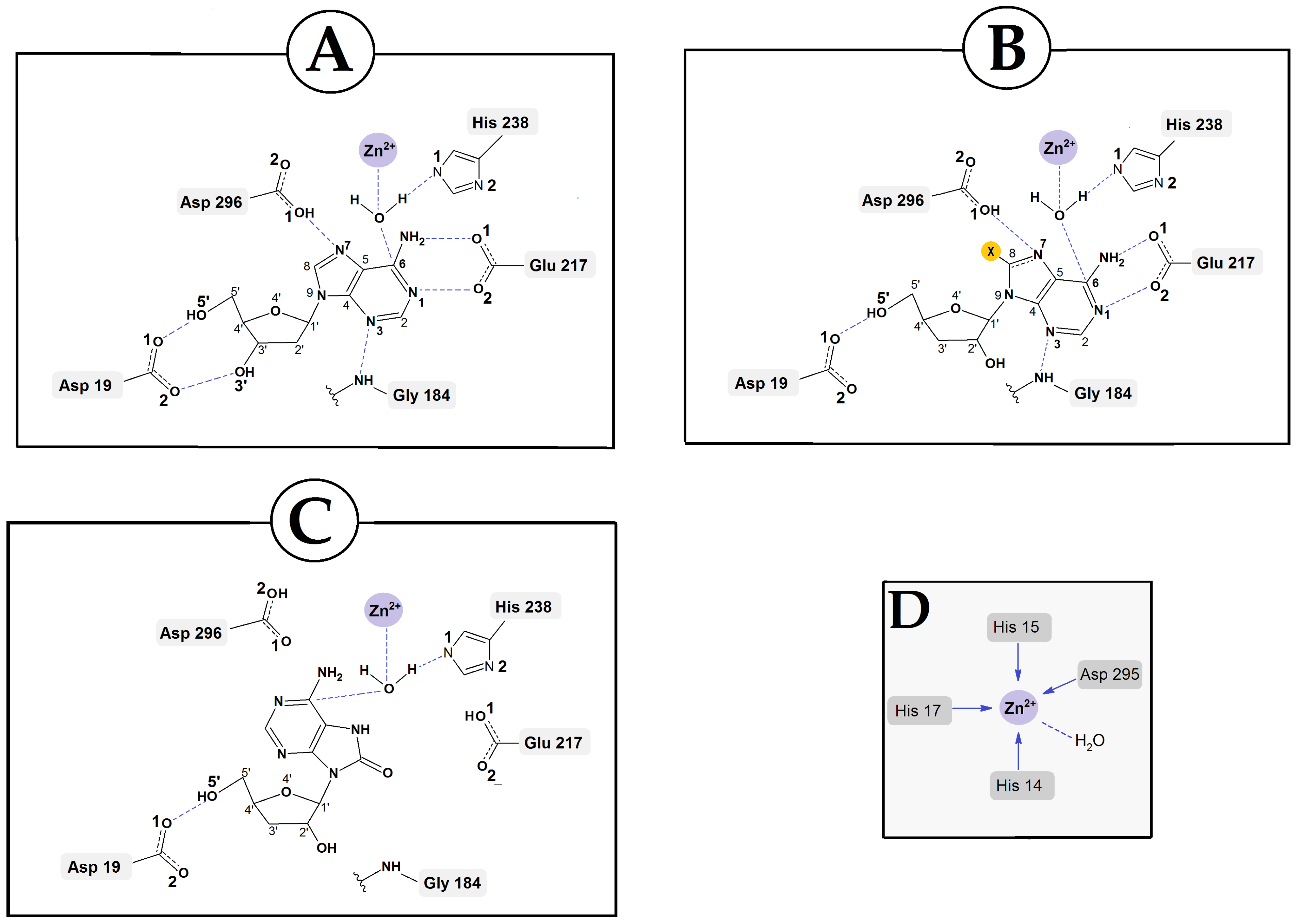 Molecules 30 03377 g006b Molecules 30 03377 g006b