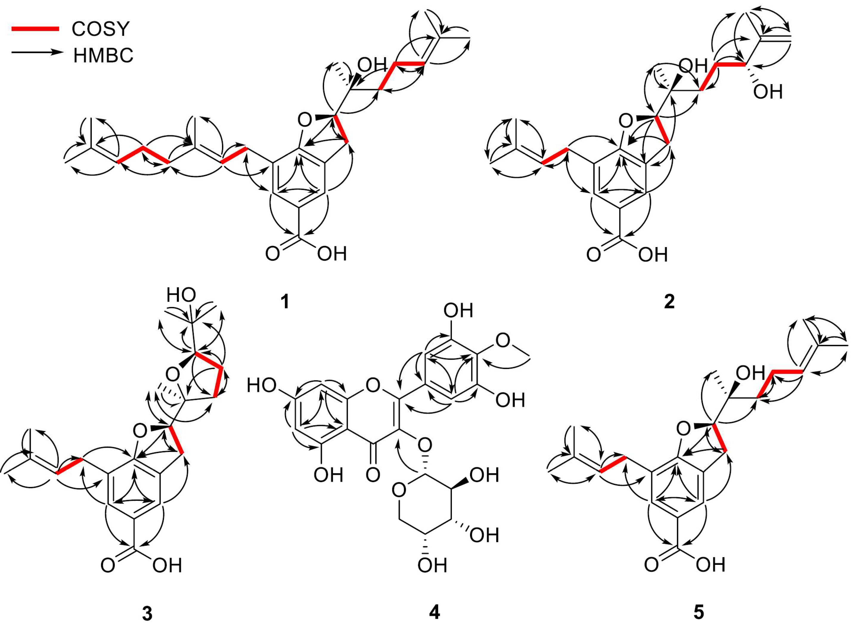 Molecules 30 03385 g002