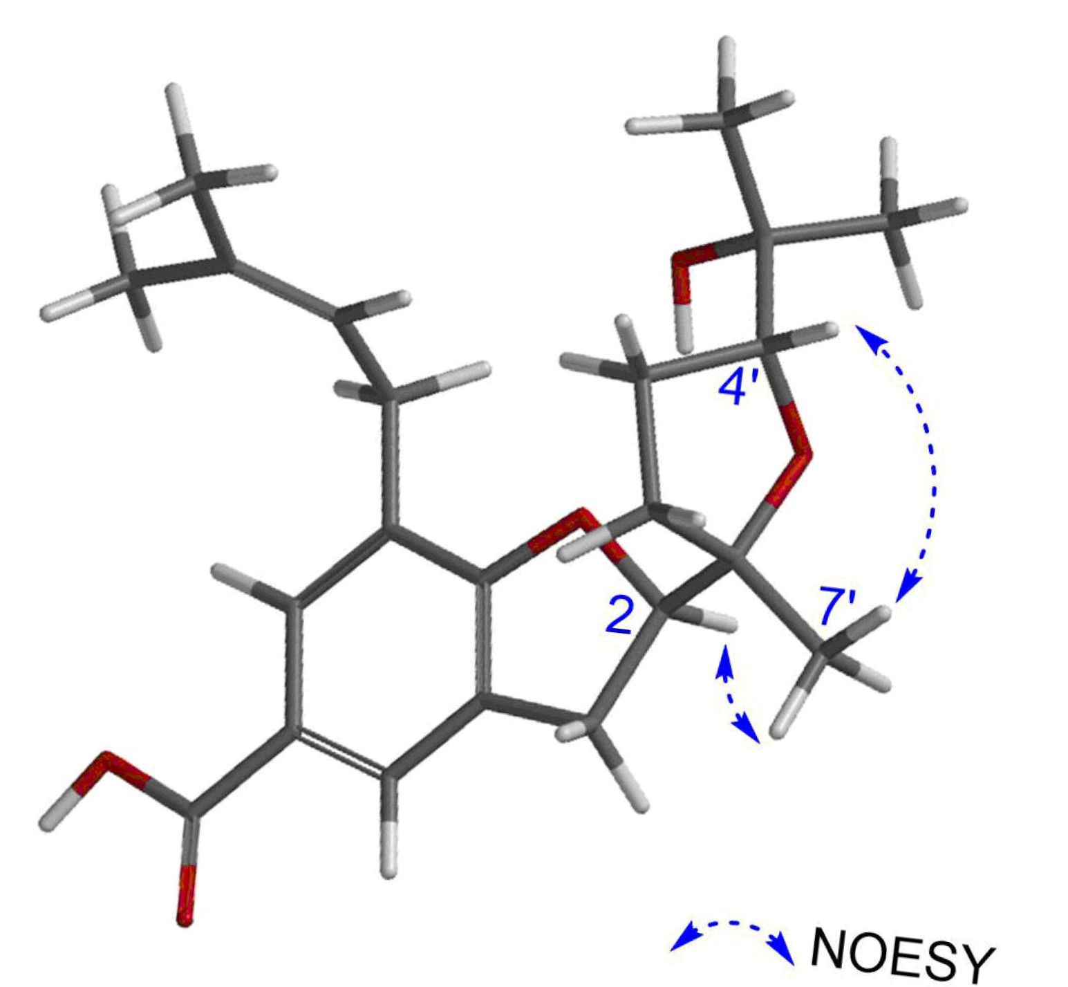 Molecules 30 03385 g004