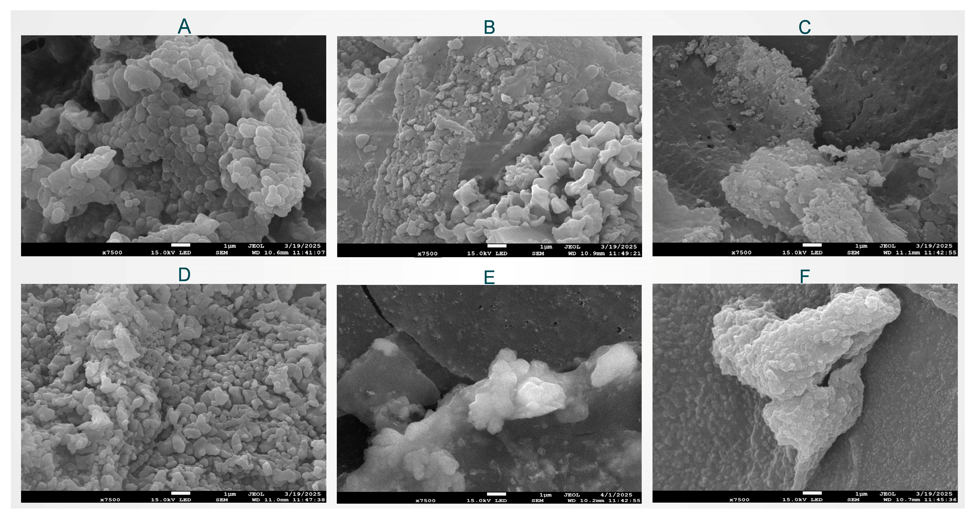Molecules 30 03390 g005 Molecules 30 03390 g005