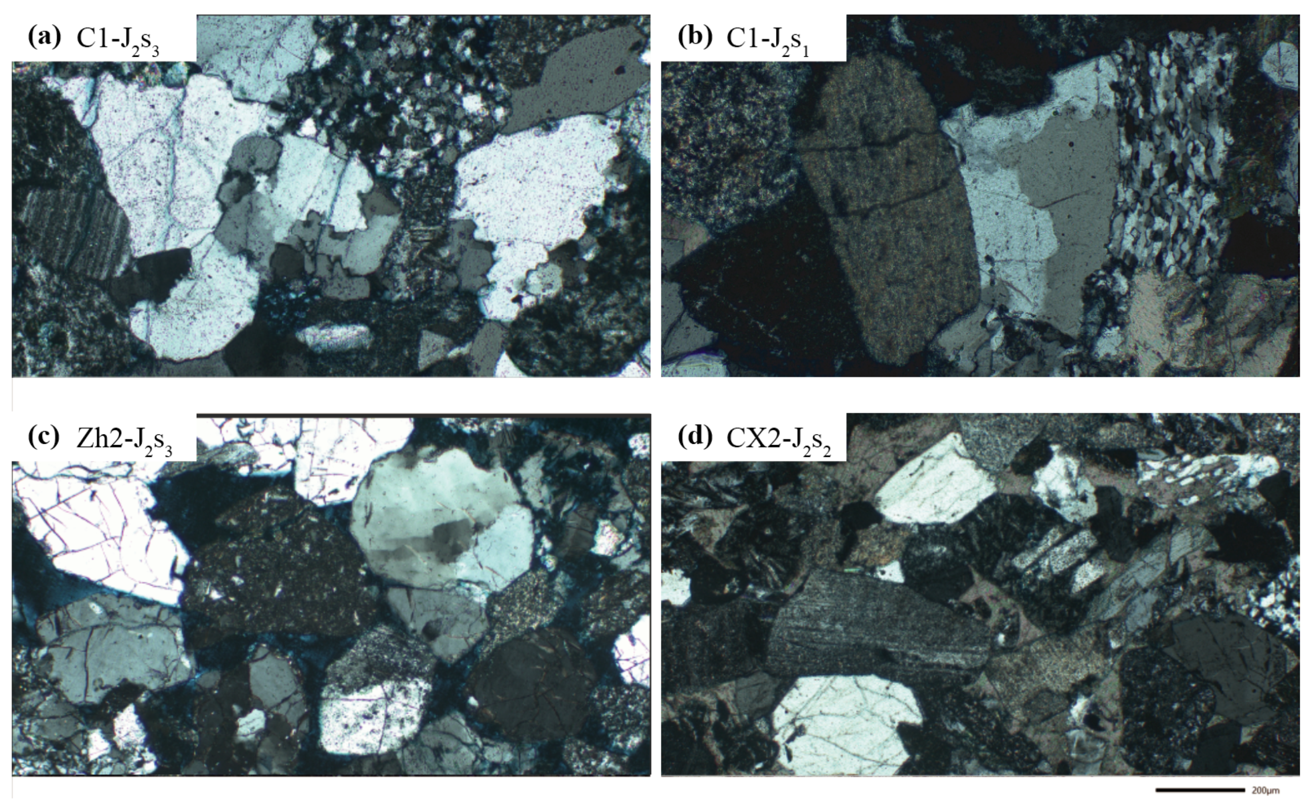 Molecules 30 03399 g003 Molecules 30 03399 g003