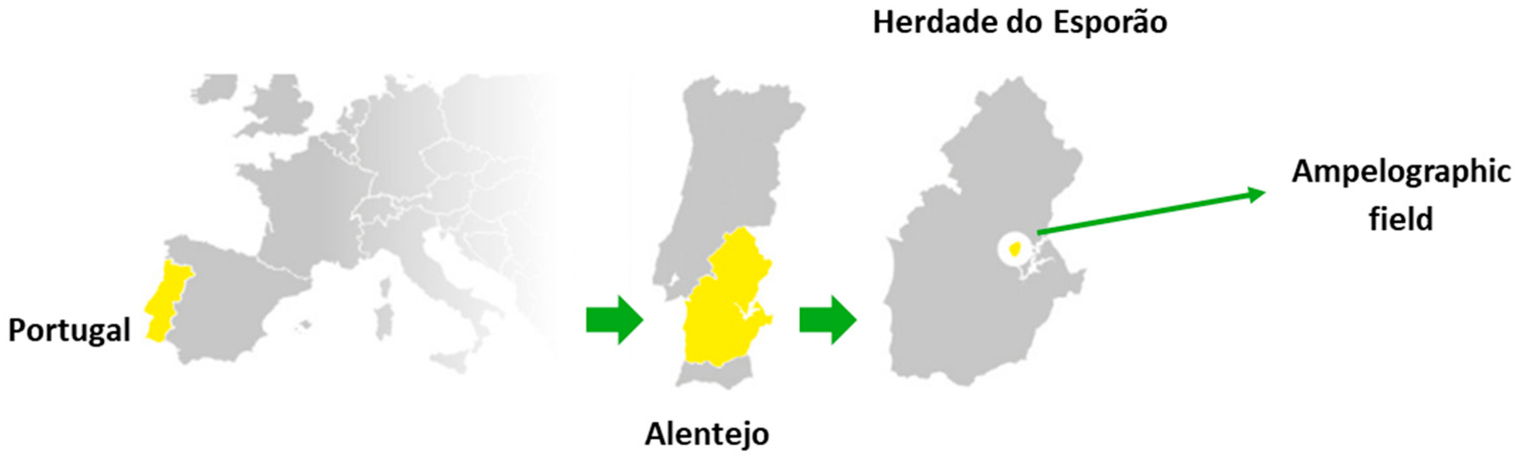 Molecules 30 03408 g003