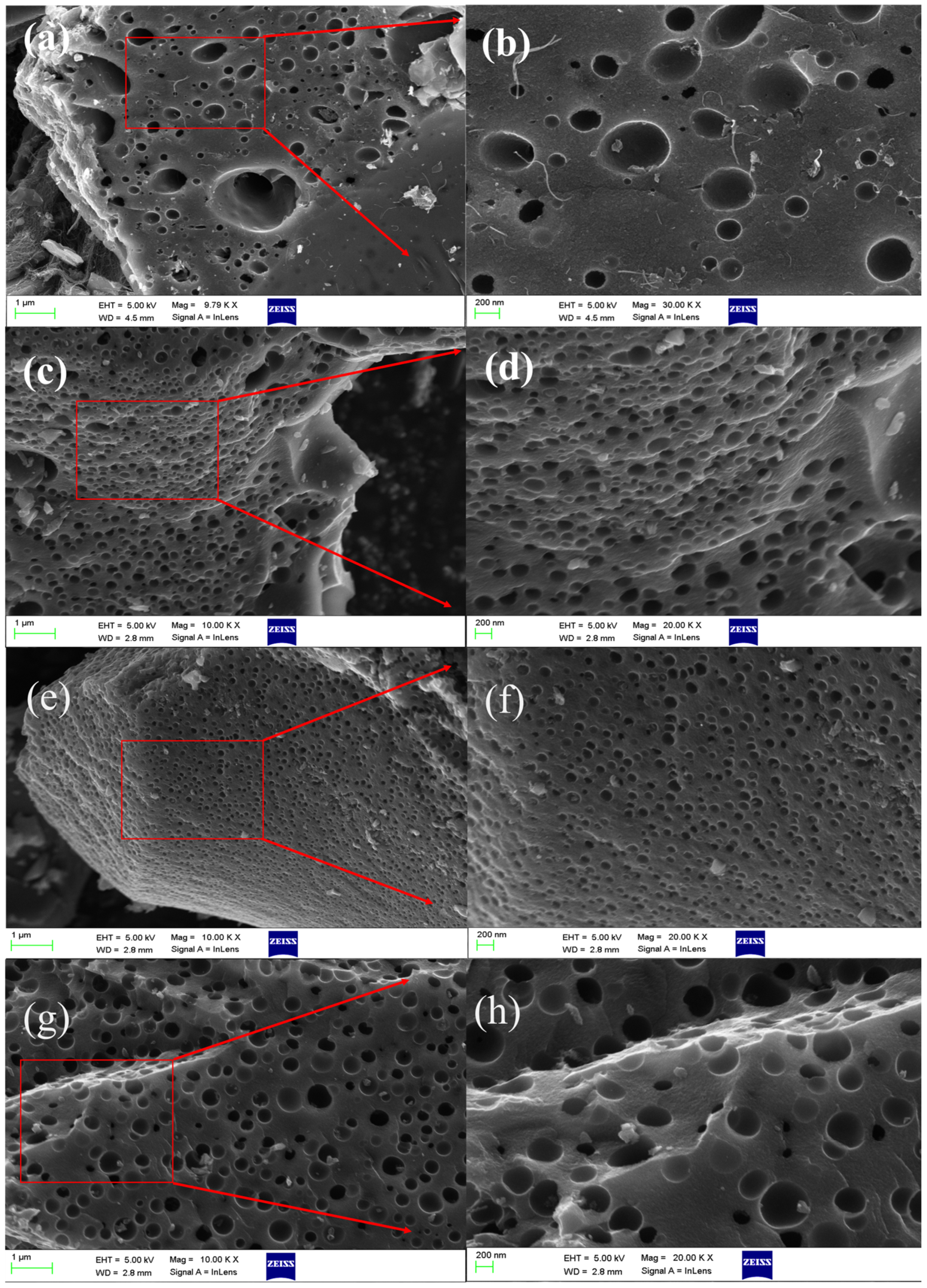Molecules 30 03420 g002