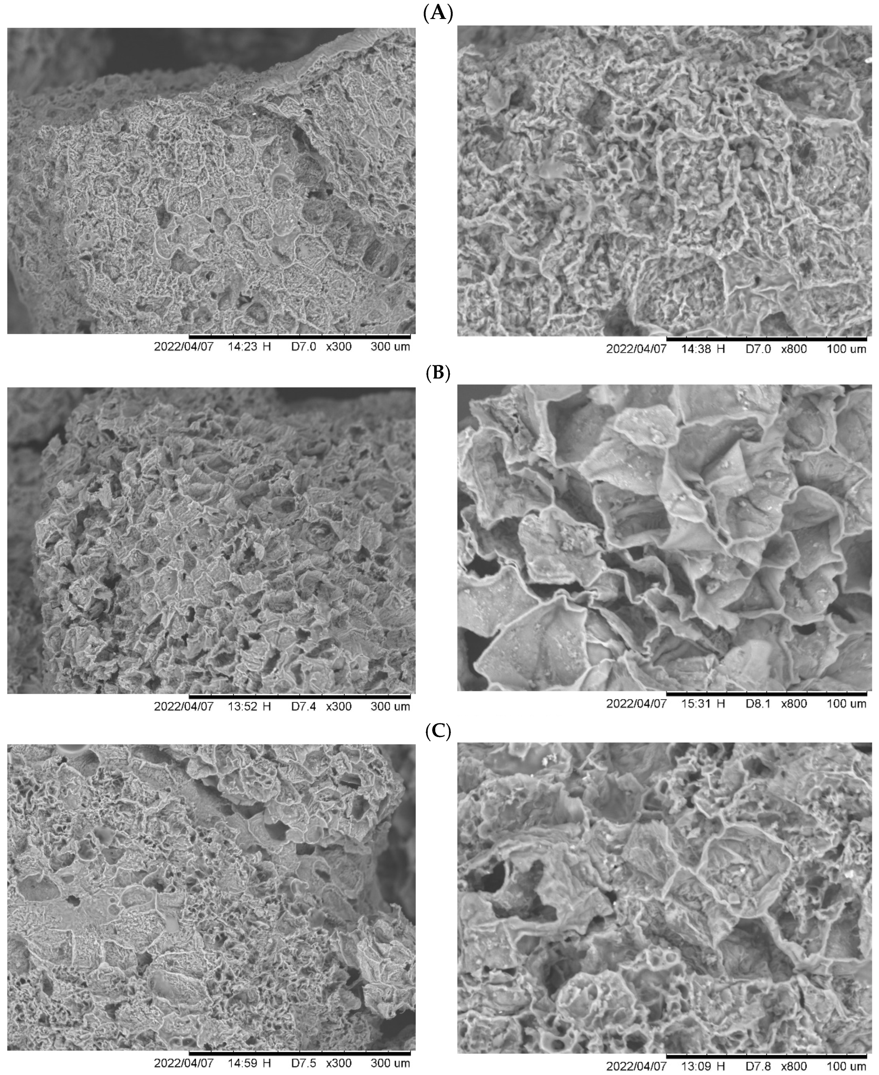 Molecules 30 03426 g005 Molecules 30 03426 g005