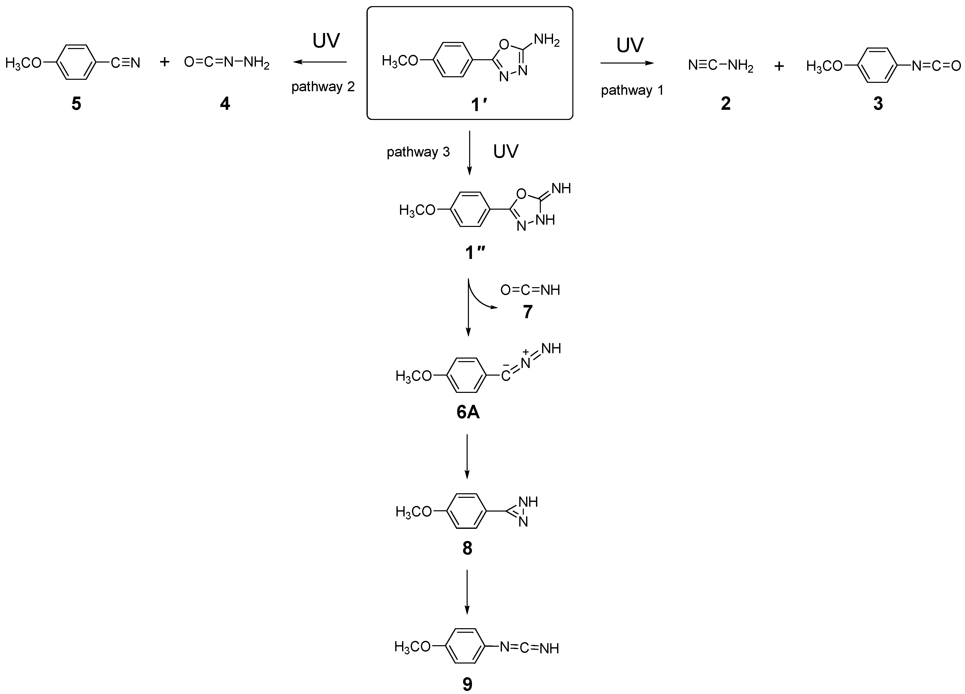 Molecules 30 03444 sch002 Molecules 30 03444 sch002