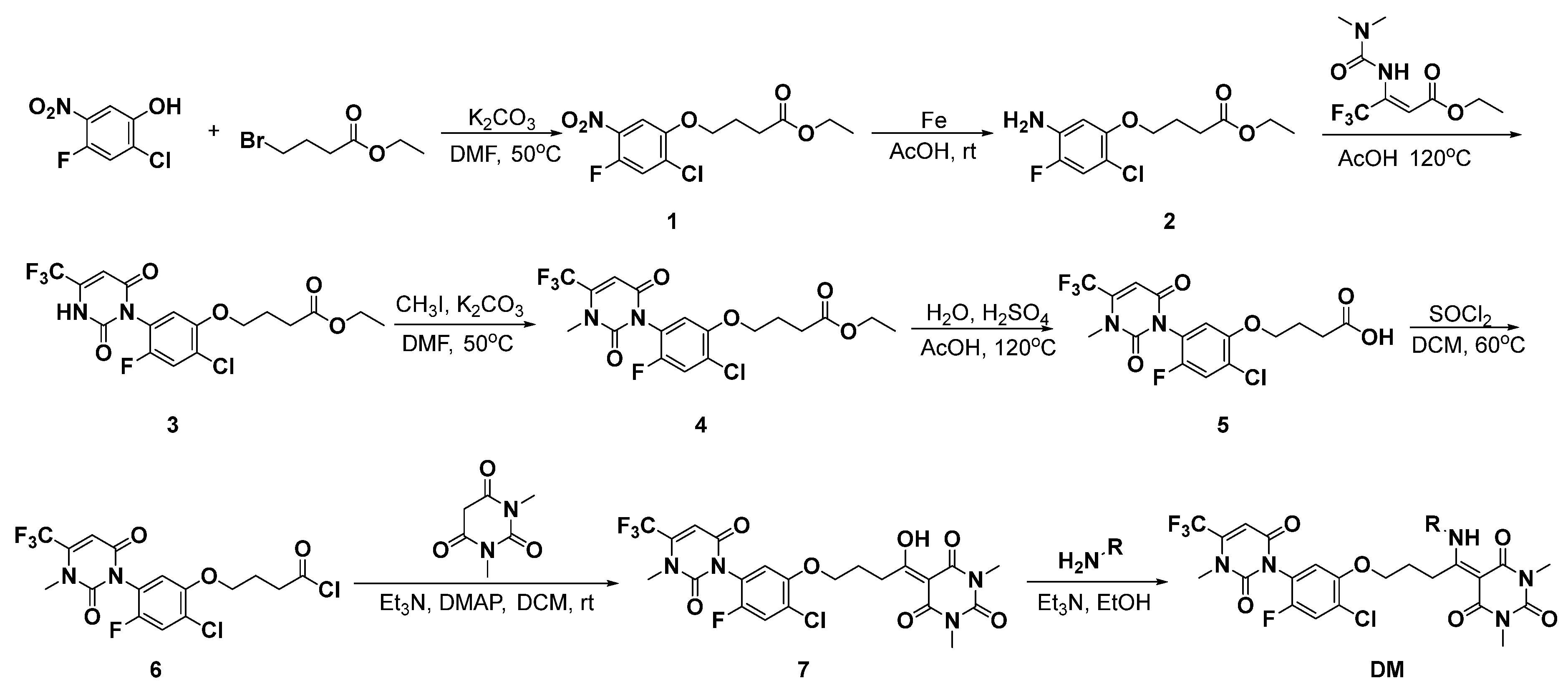 Molecules 30 03445 sch001 Molecules 30 03445 sch001