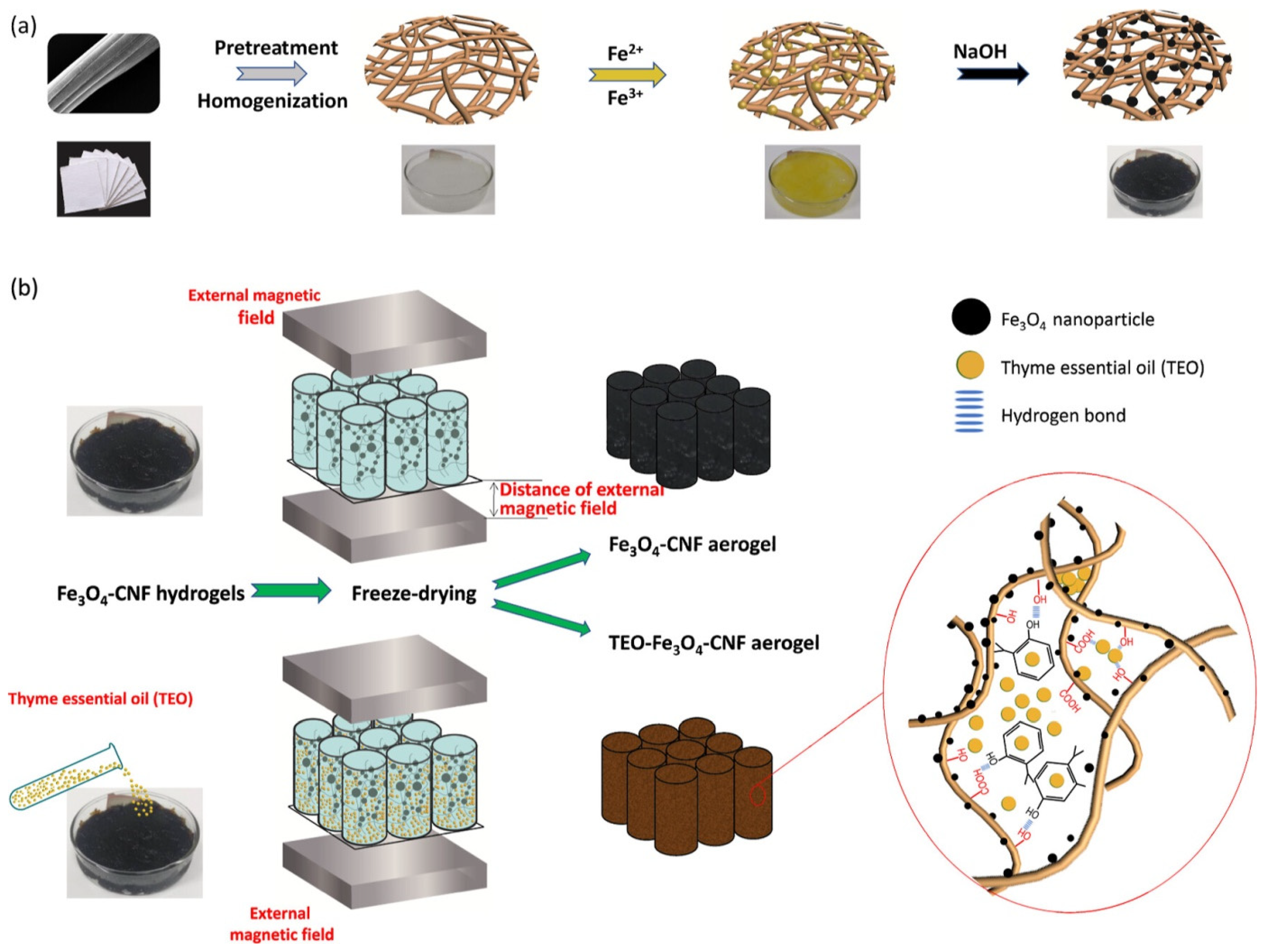 Molecules 30 03453 g002 Molecules 30 03453 g002