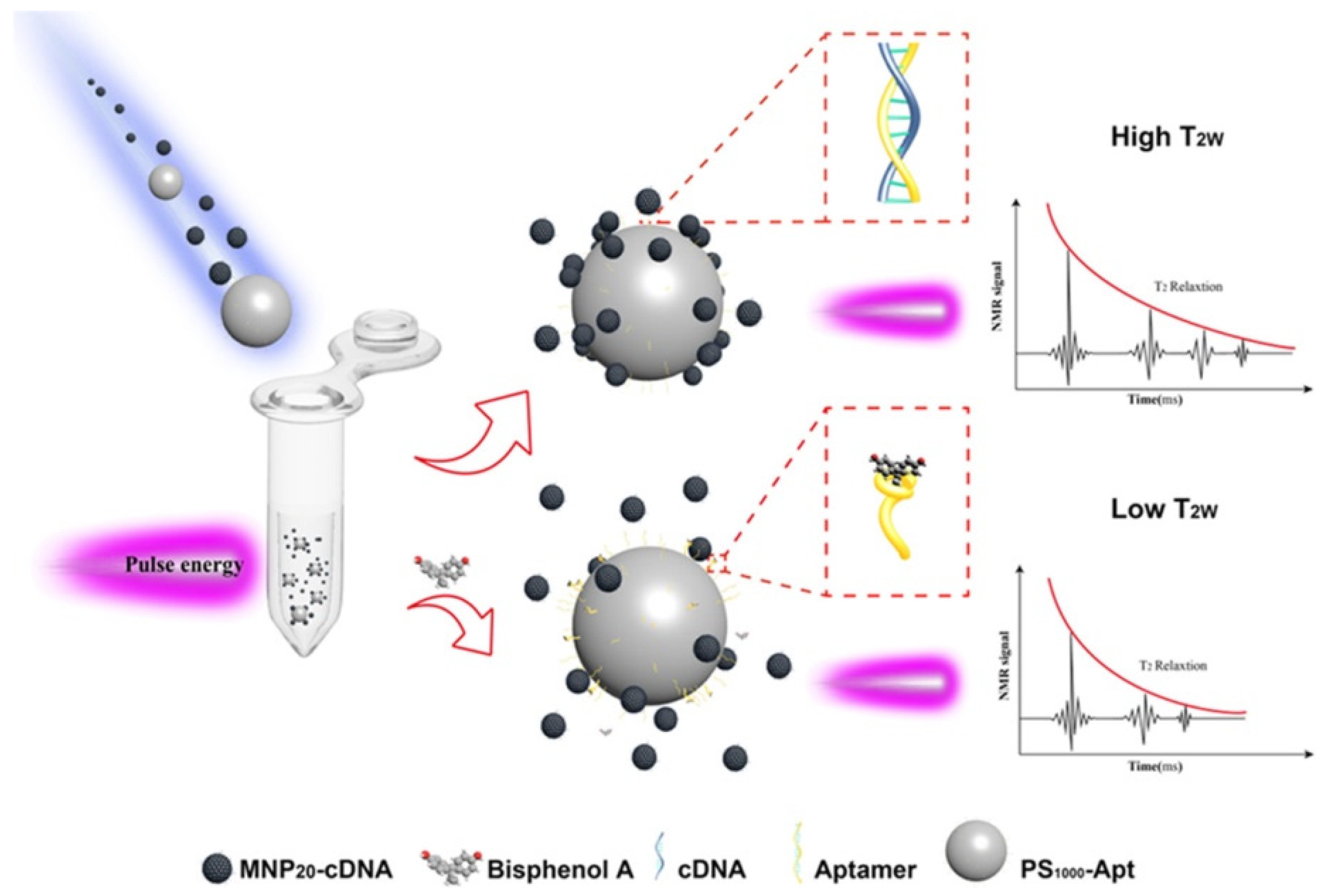 Molecules 30 03453 g004 Molecules 30 03453 g004
