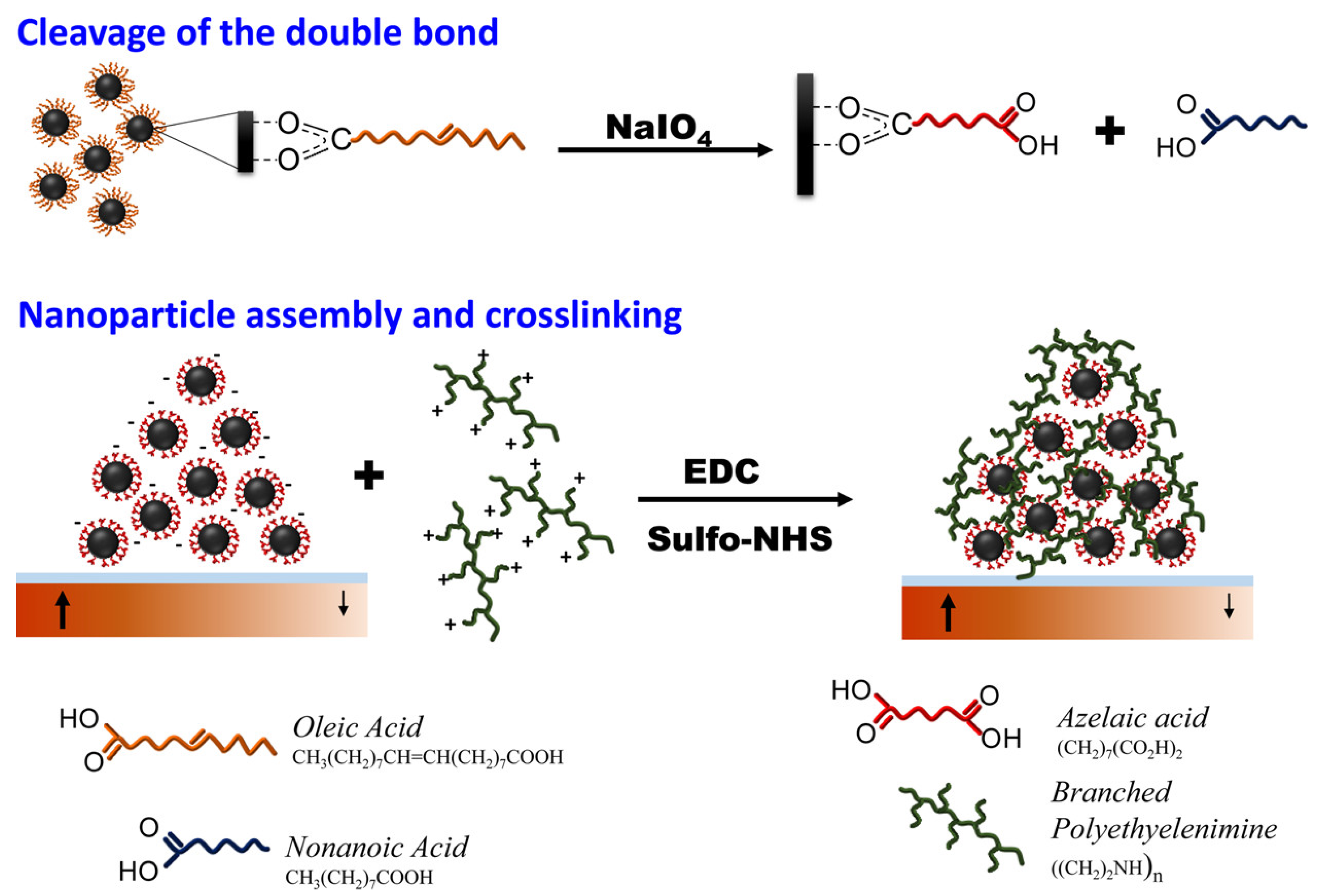 Molecules 30 03453 g007 Molecules 30 03453 g007