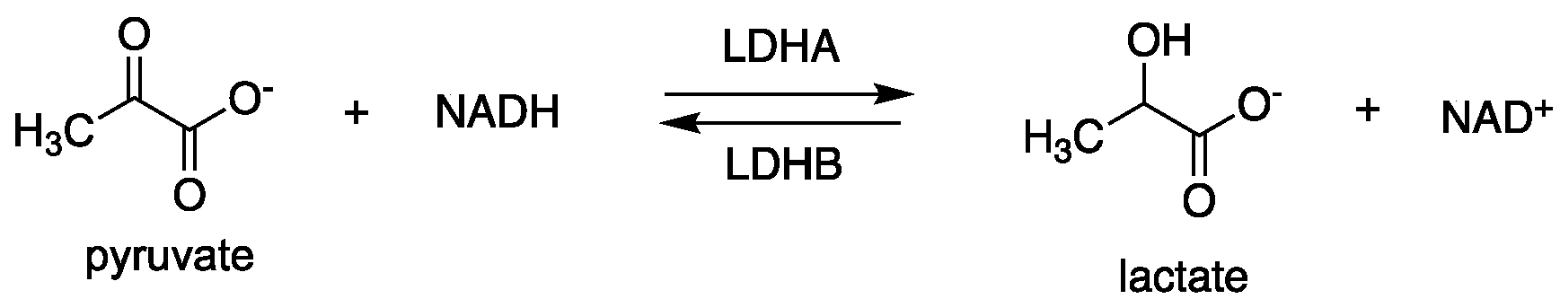 Molecules 30 03457 g002