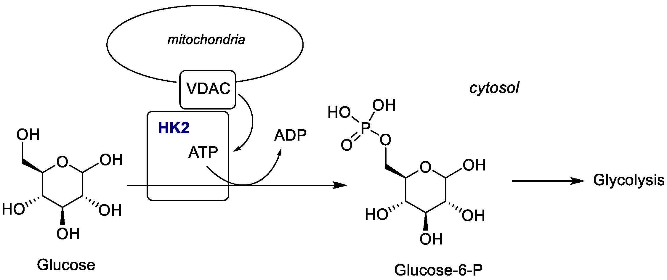 Molecules 30 03457 g004
