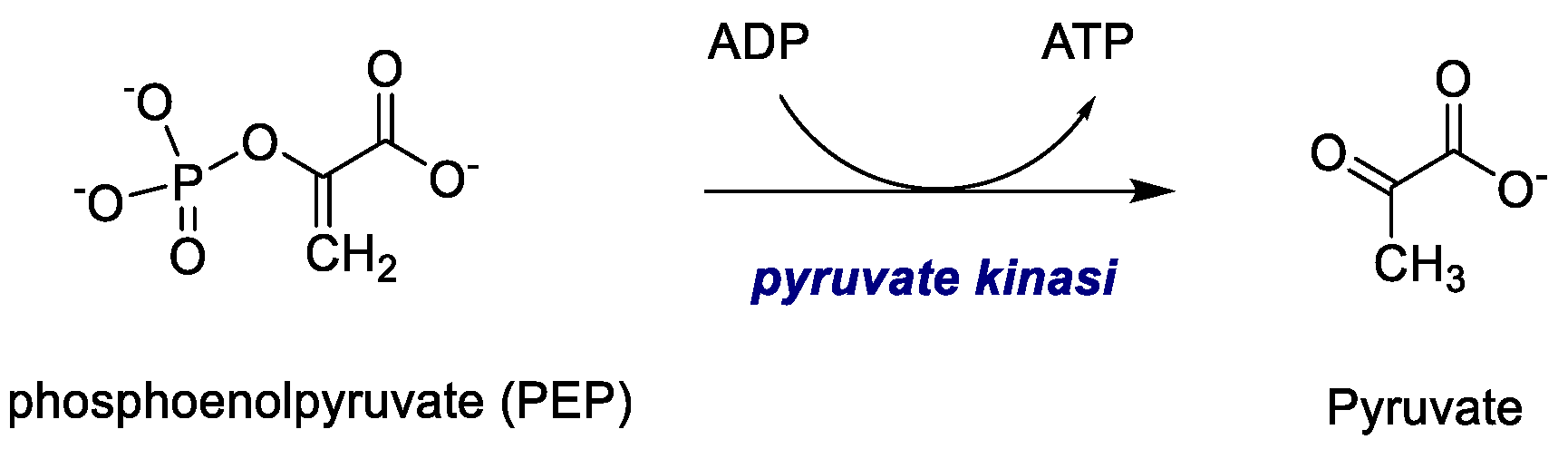 Molecules 30 03457 g005
