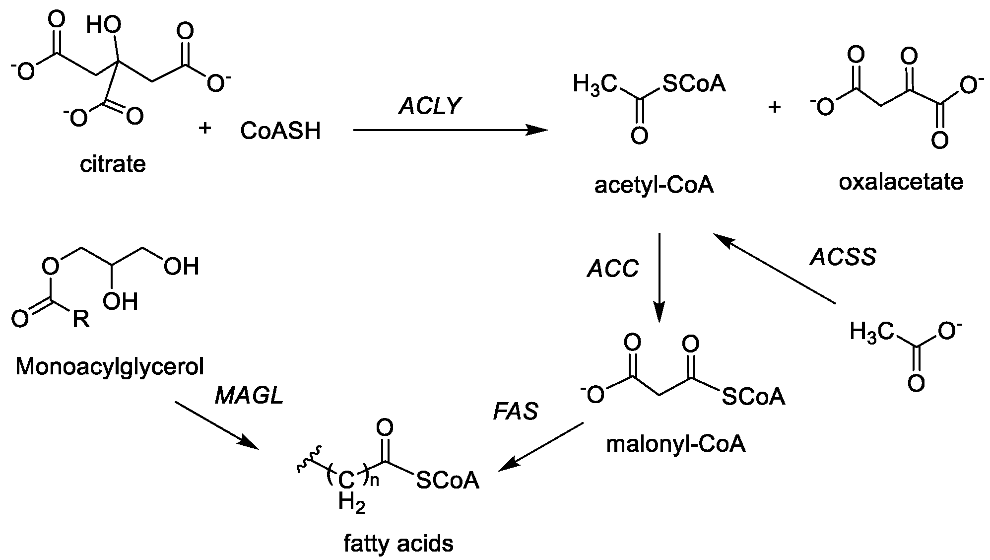 Molecules 30 03457 g007