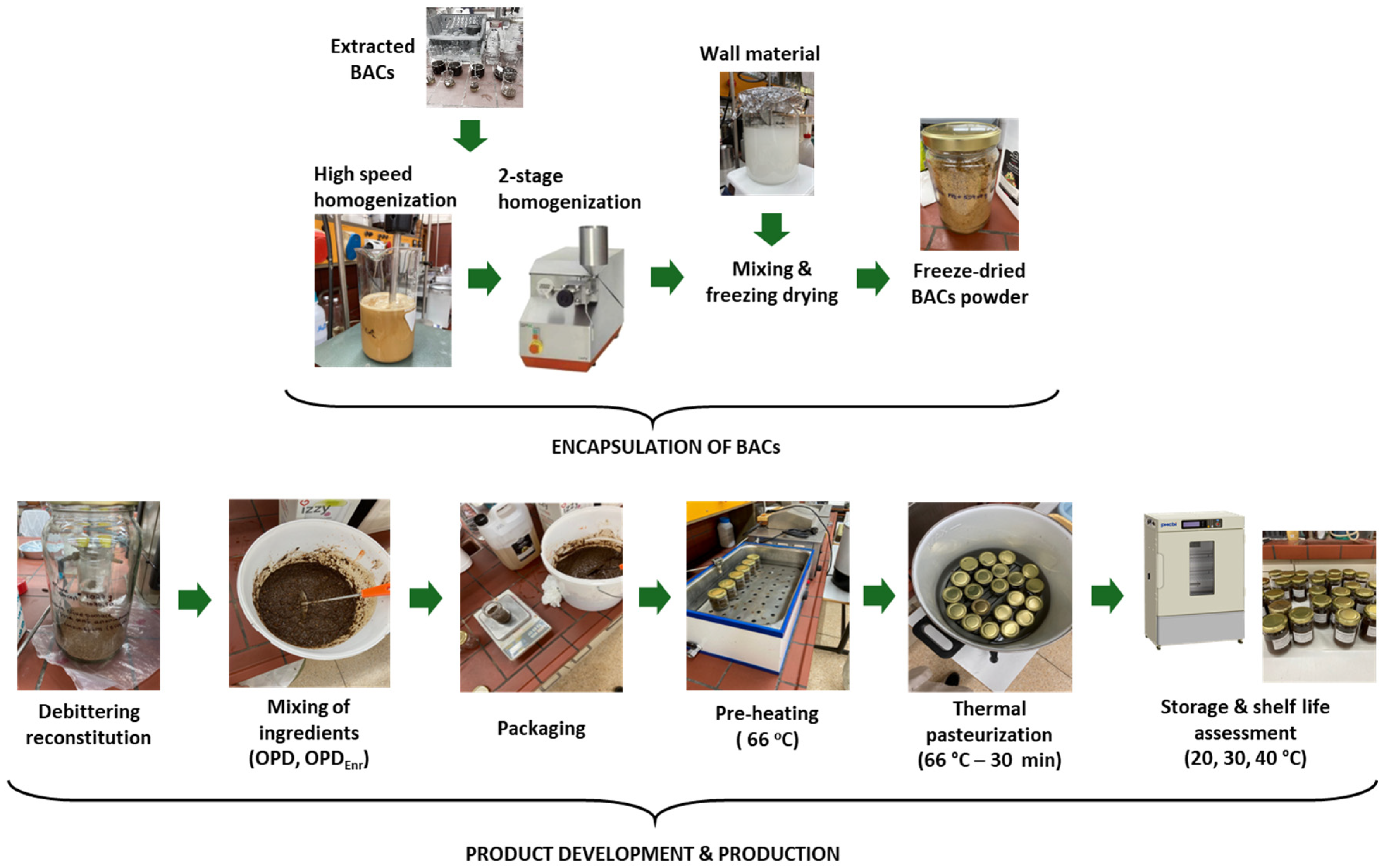 Molecules 30 03459 g009 Molecules 30 03459 g009