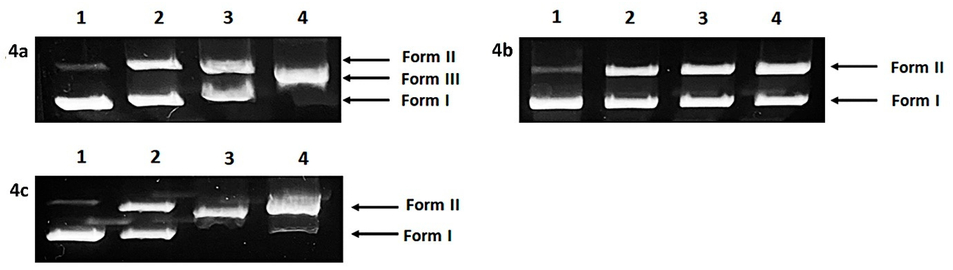 Molecules 30 03461 g007