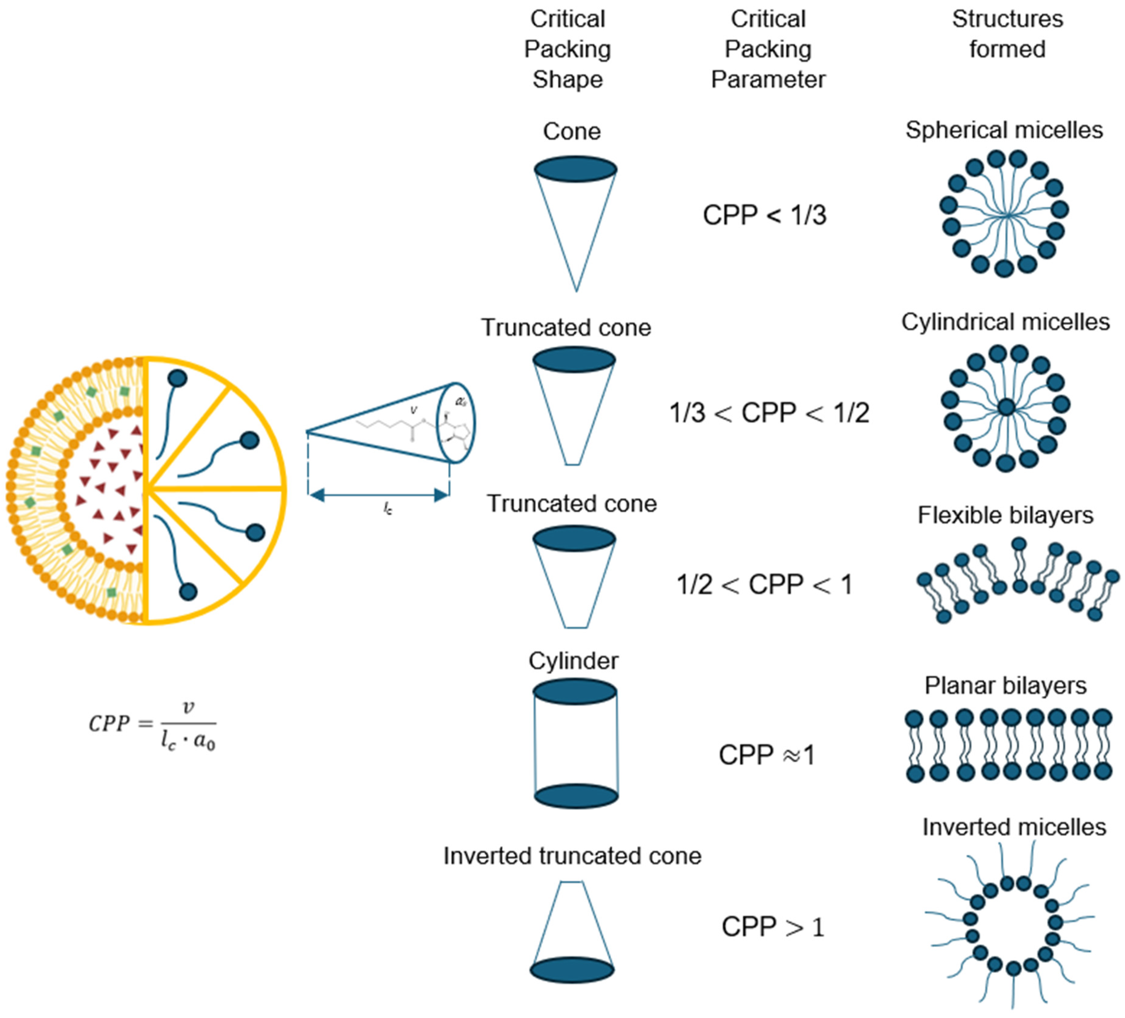 Molecules 30 03467 g002