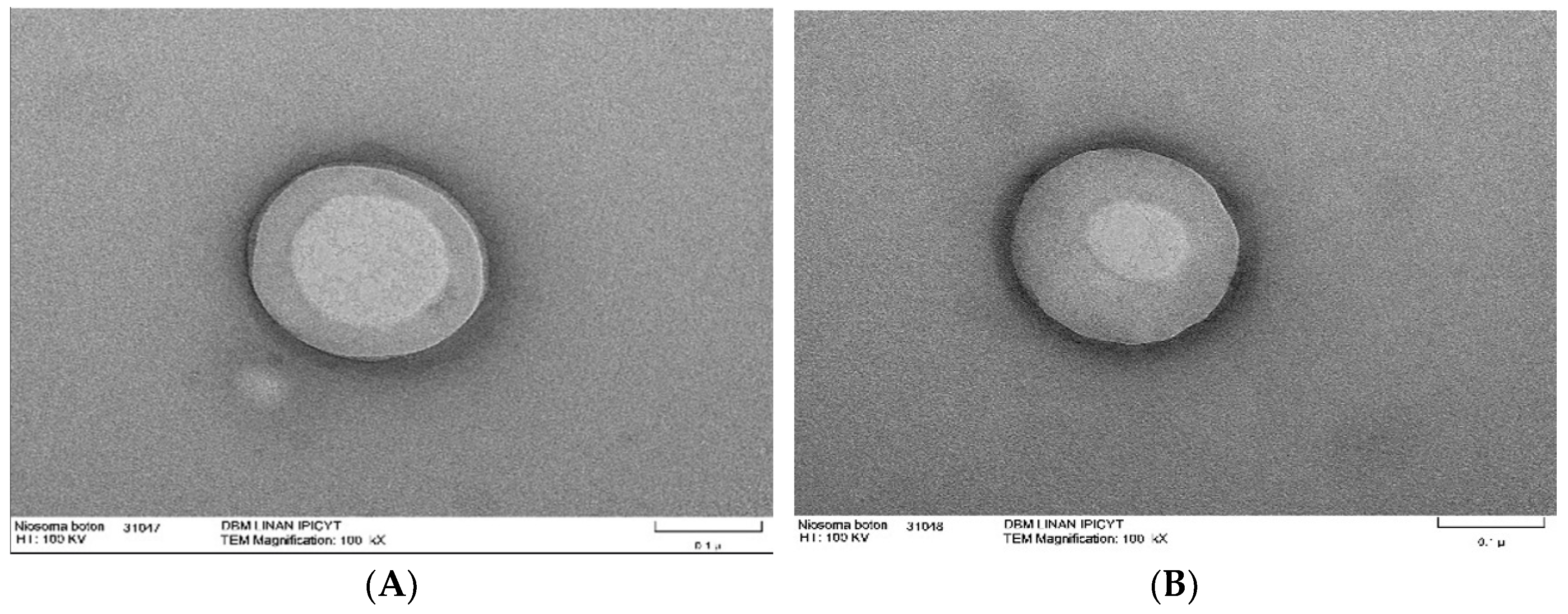 Molecules 30 03467 g004